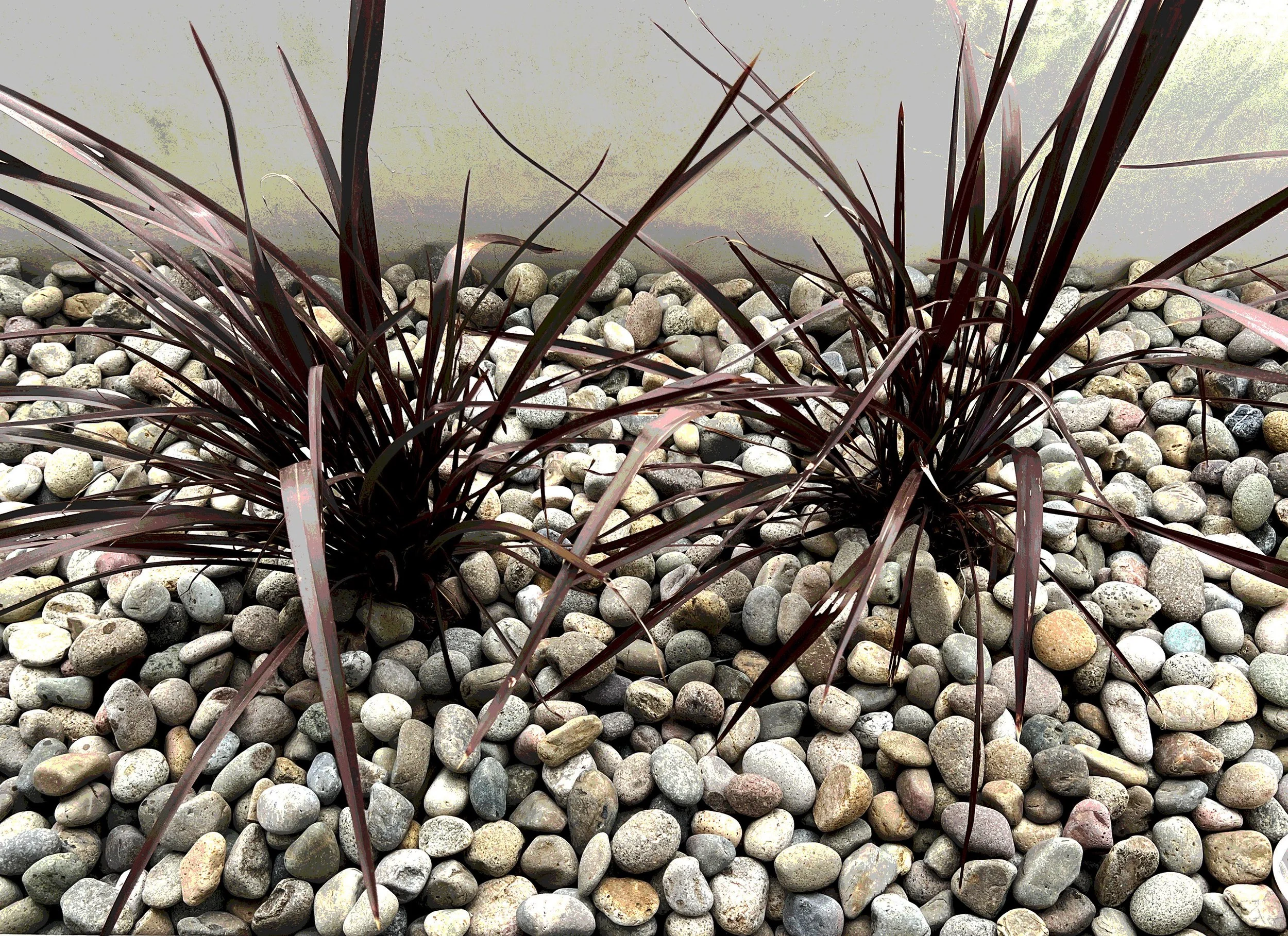'Pythagorean Tones' in Del Mar installed landscape - Del Mar, San Diego