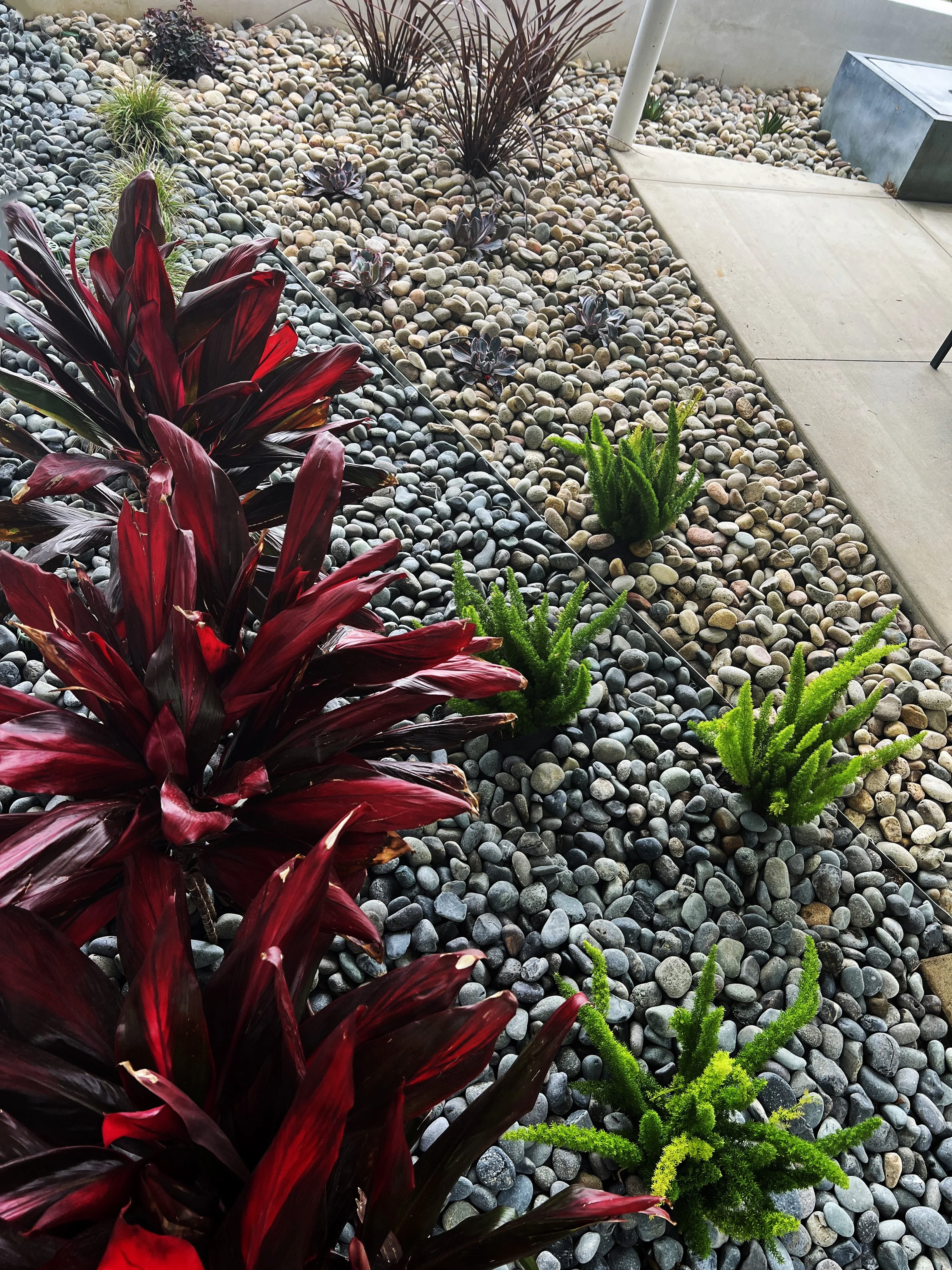 'Pythagorean Tones' in Del Mar installed landscape - Del Mar, San Diego