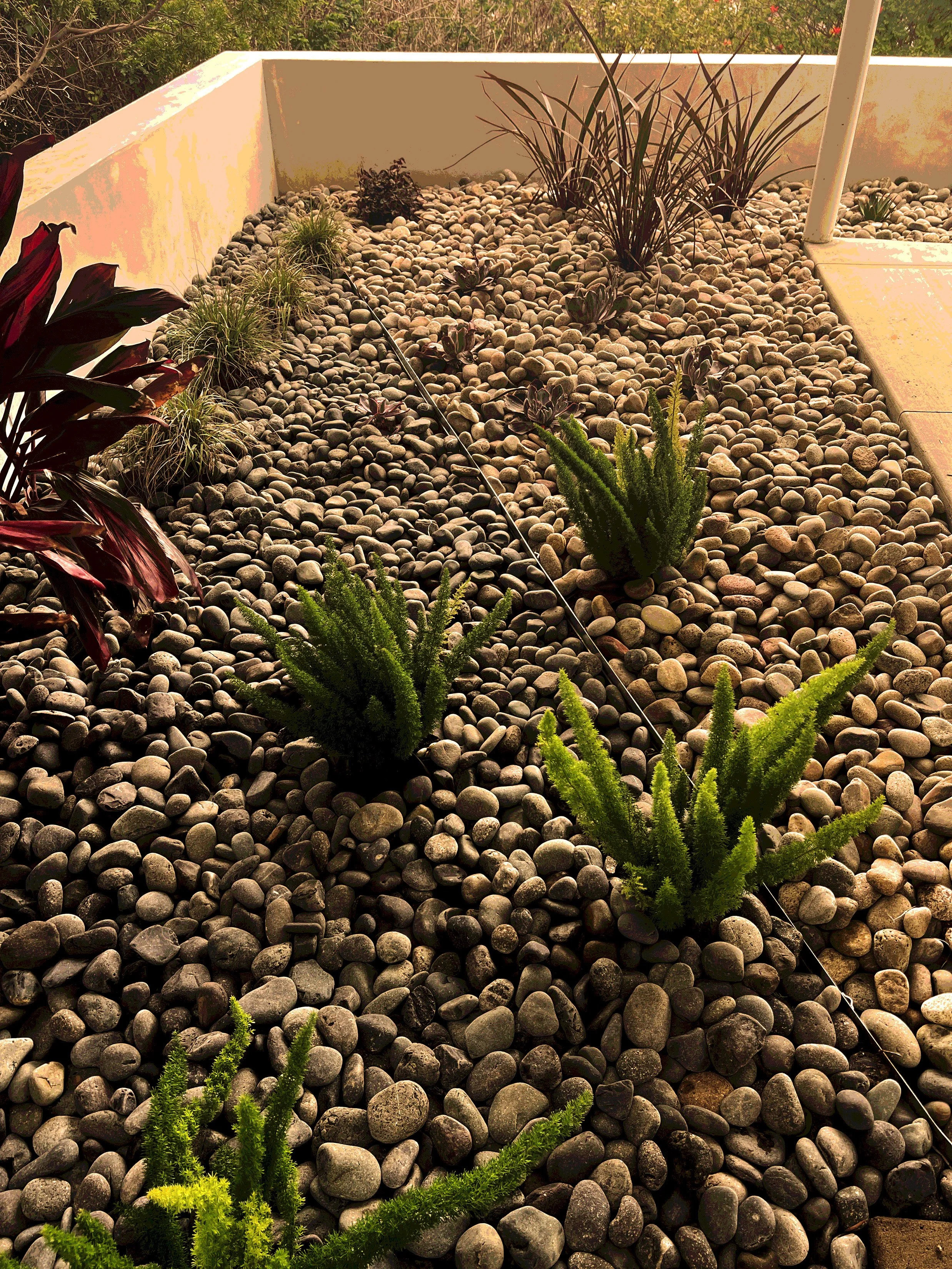 'Pythagorean Tones' in Del Mar installed landscape - Del Mar, San Diego