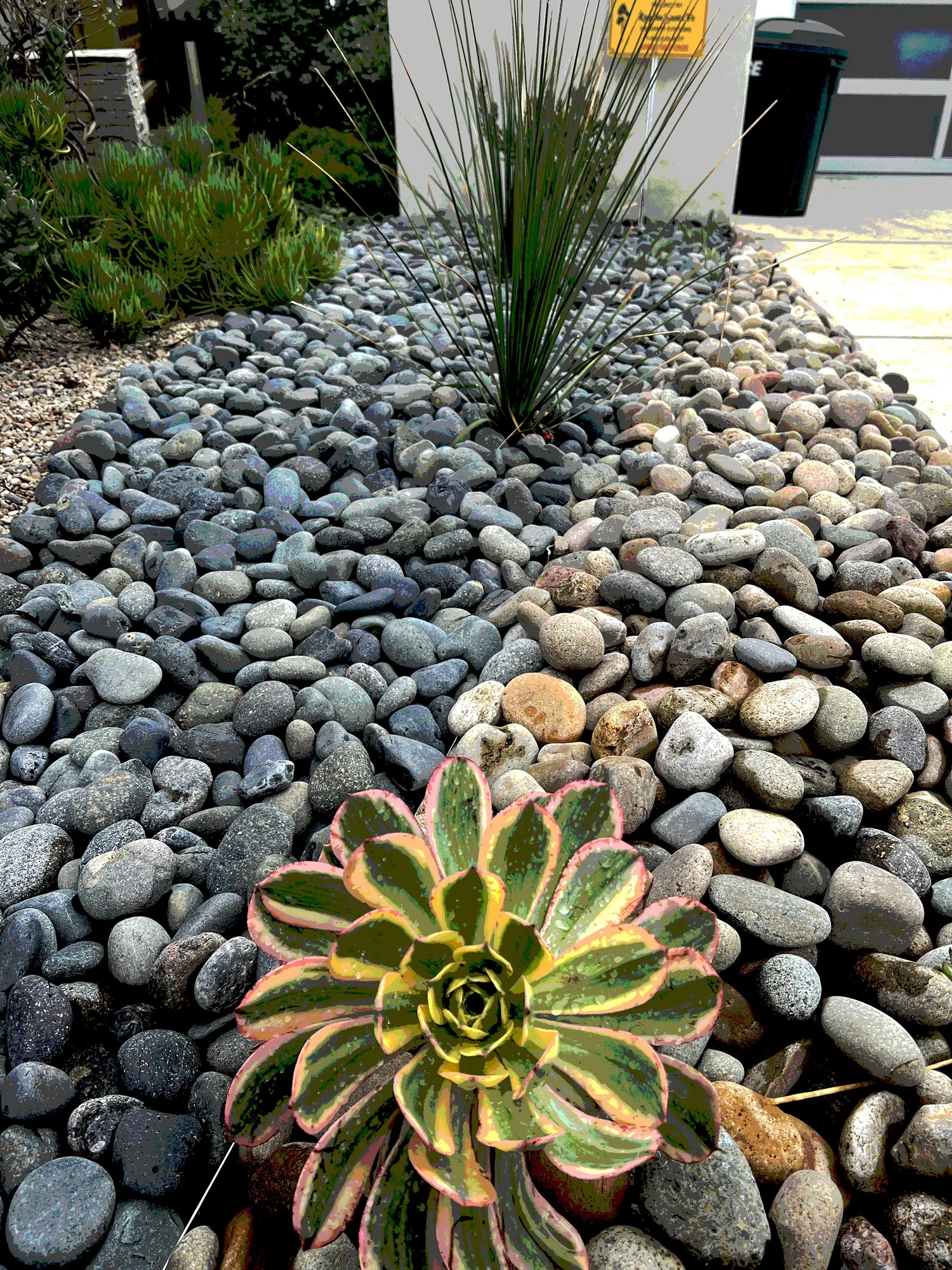 'Pythagorean Tones' in Del Mar landscape design in Del Mar, San Diego