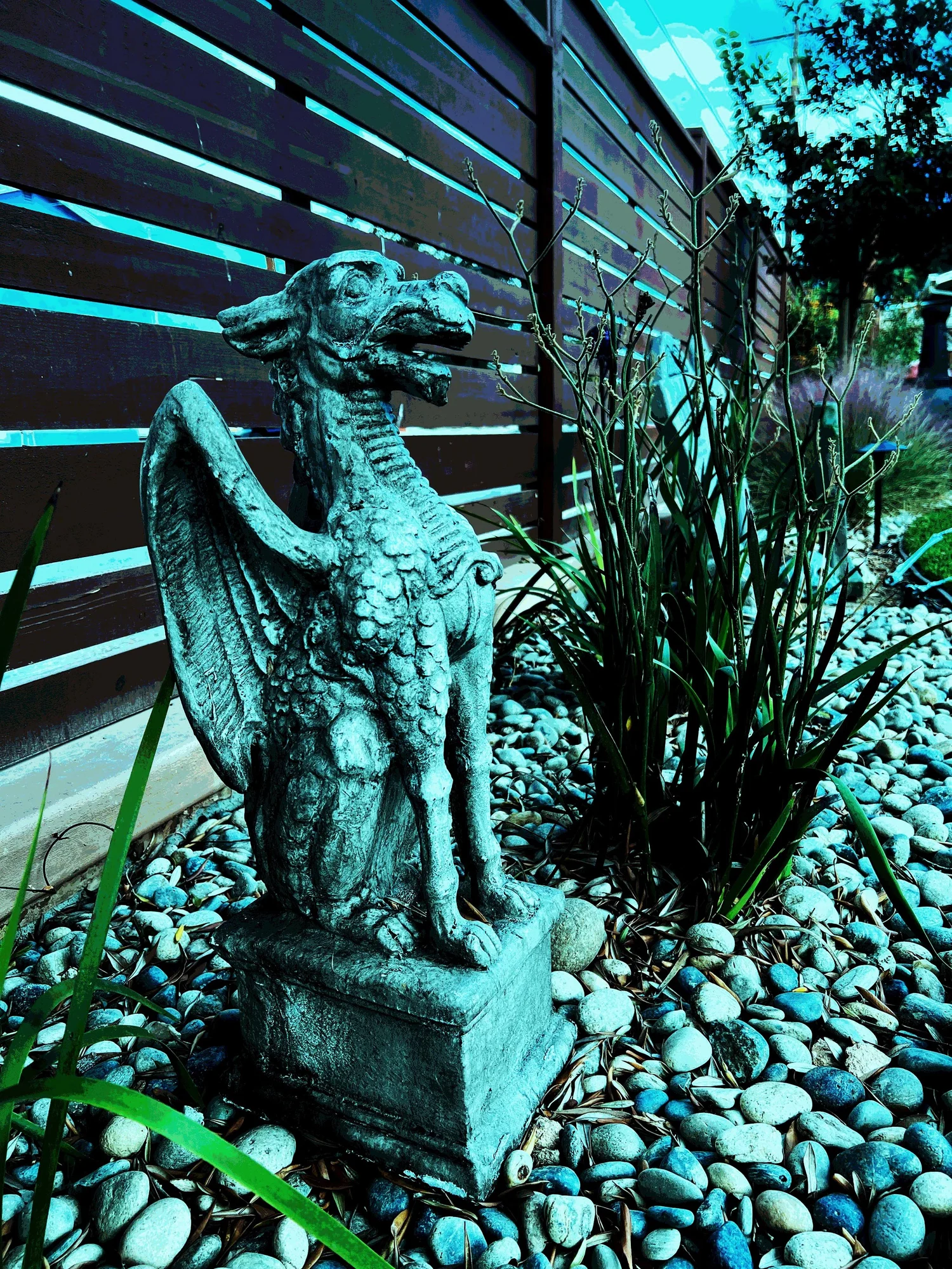 'The Realm of Hades' in North Park landscape design in North Park, San Diego