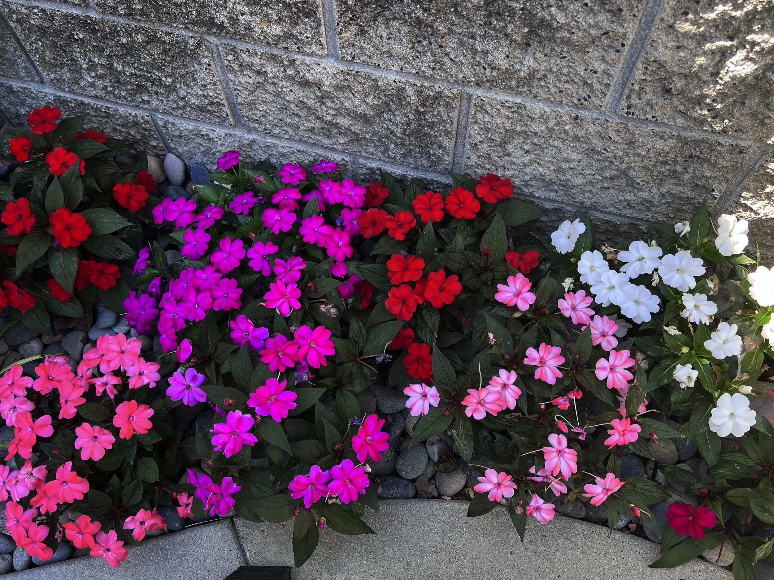 St. John's Episcopal Church: Memorial Garden installed landscape - Chula Vista, San Diego