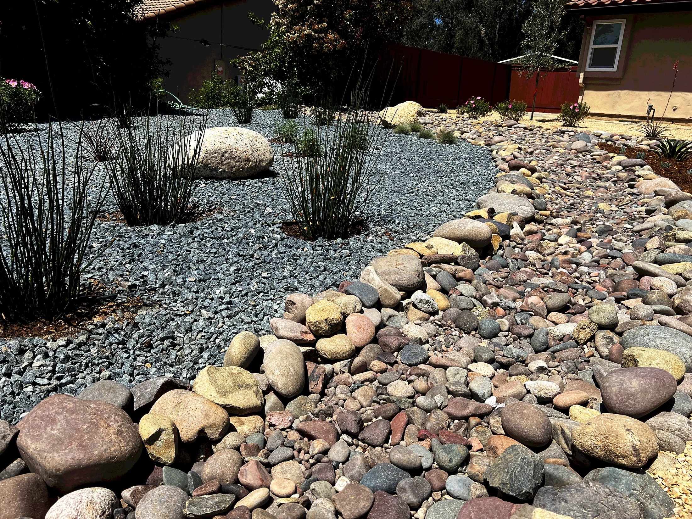'Branches in the Wind' in Poway installed landscape - Poway, San Diego