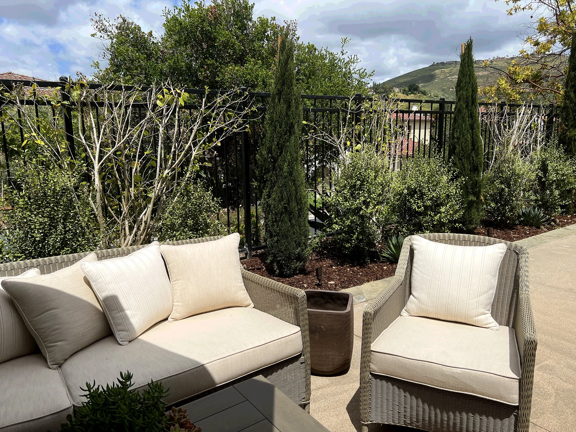 'Mediterranean Sky' in Rancho Santa Fe installed landscape - Rancho Santa Fe, San Diego