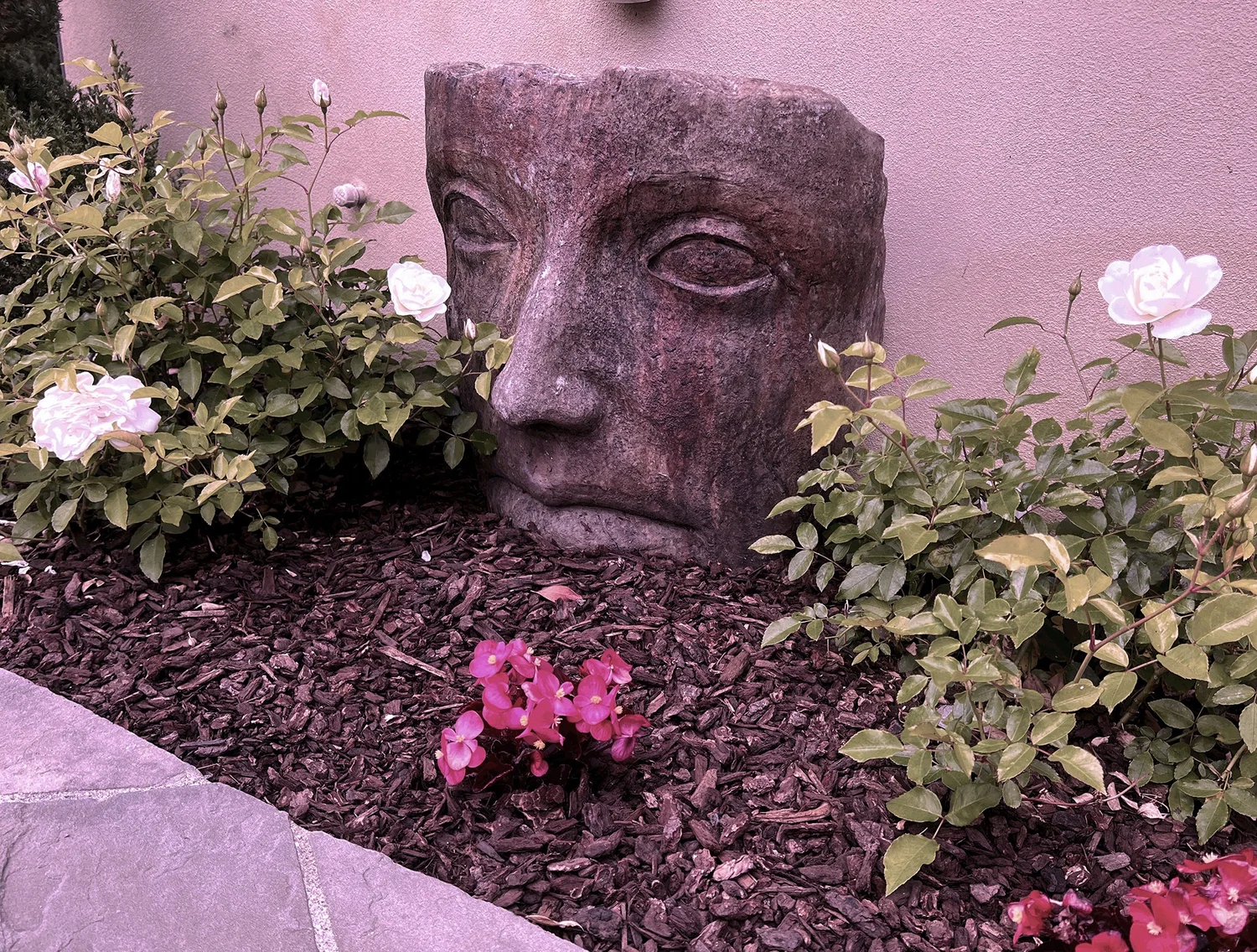 'Mediterranean Sky' in Rancho Santa Fe landscape design in Rancho Santa Fe, San Diego