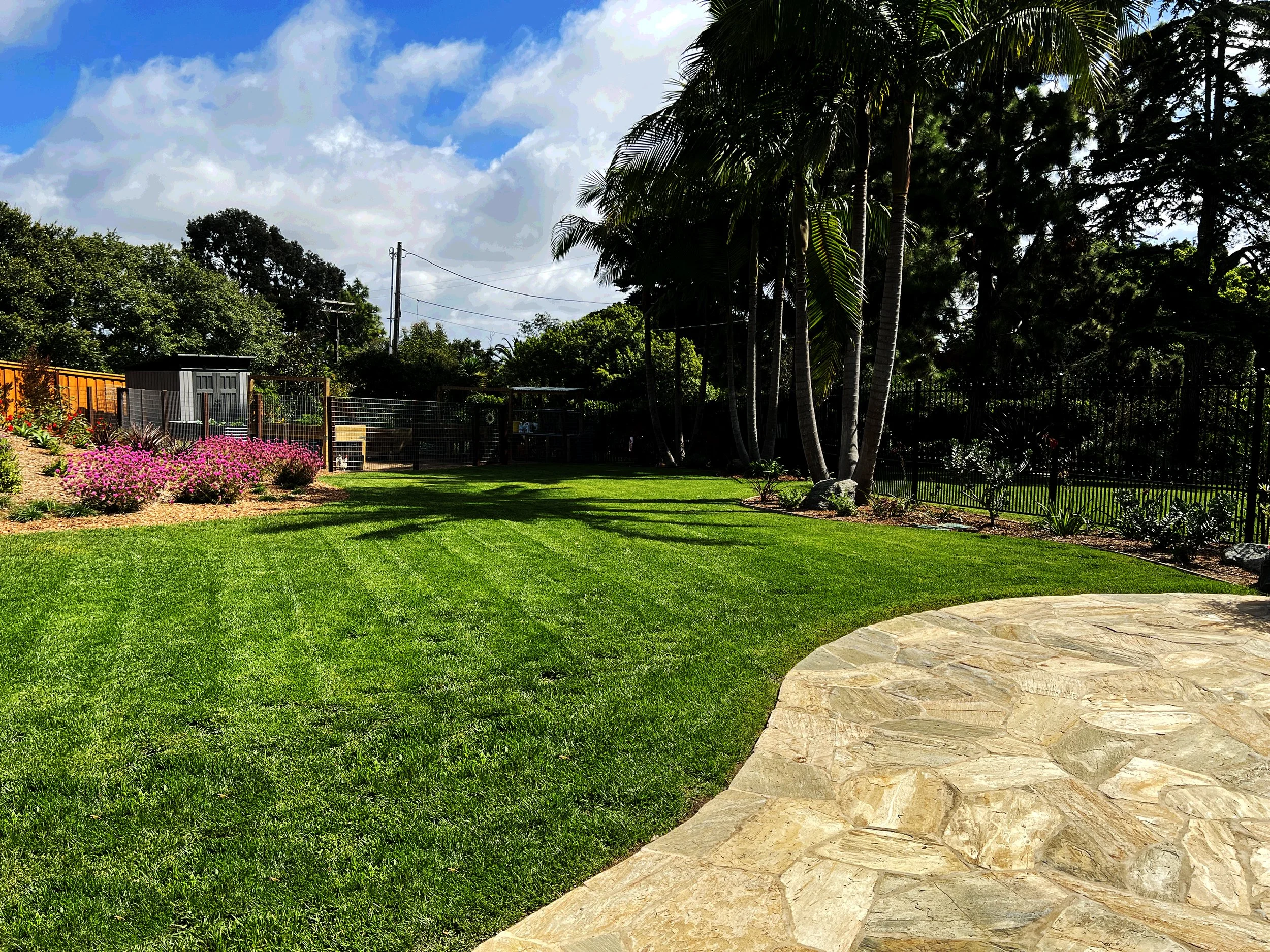 'The Universe in a Mustard Seed' in Del Mar installed landscape - Del Mar, San Diego