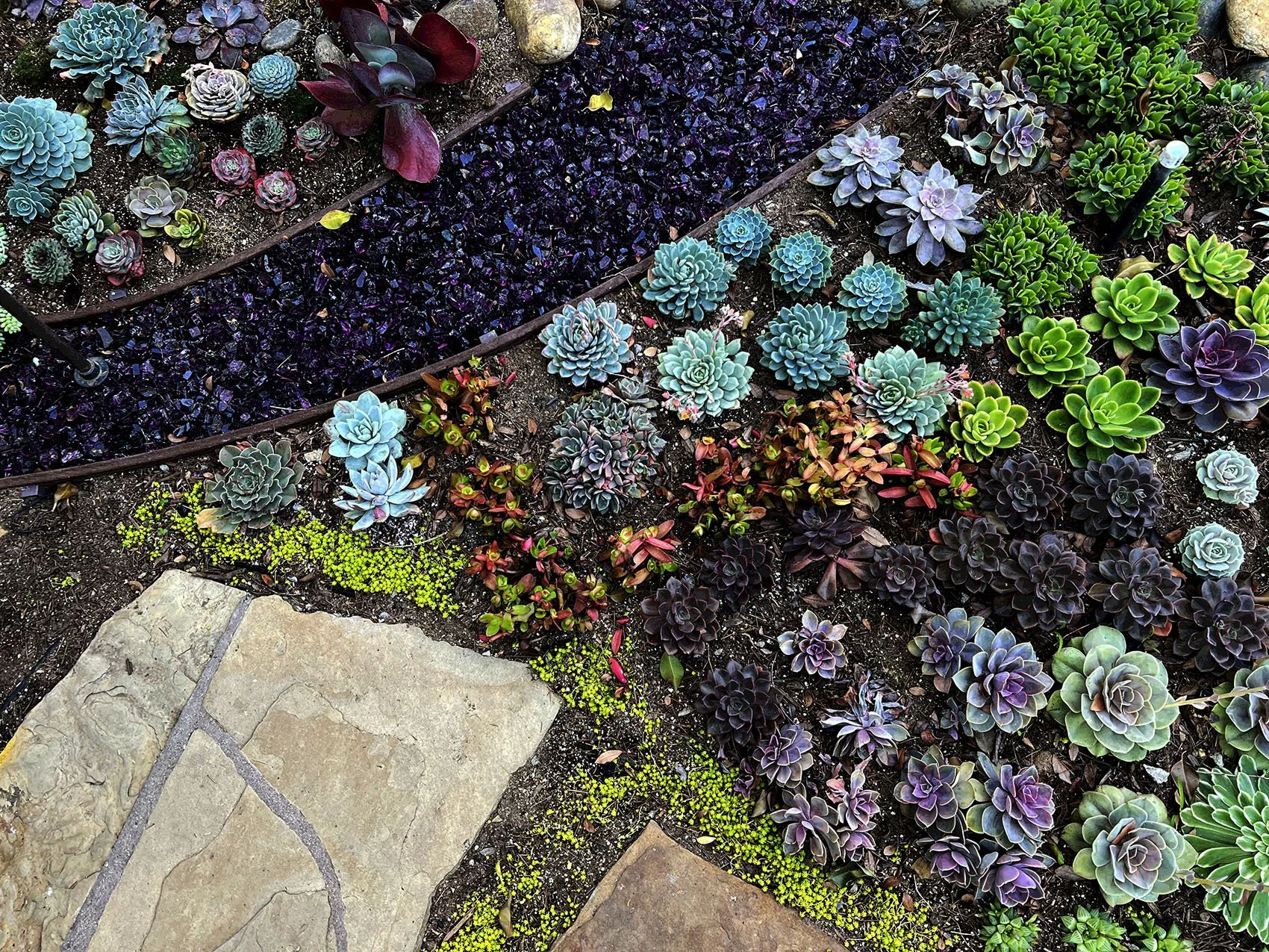 'The Butterfly Painting' in Solana Beach installed landscape - Solana Beach, San Diego