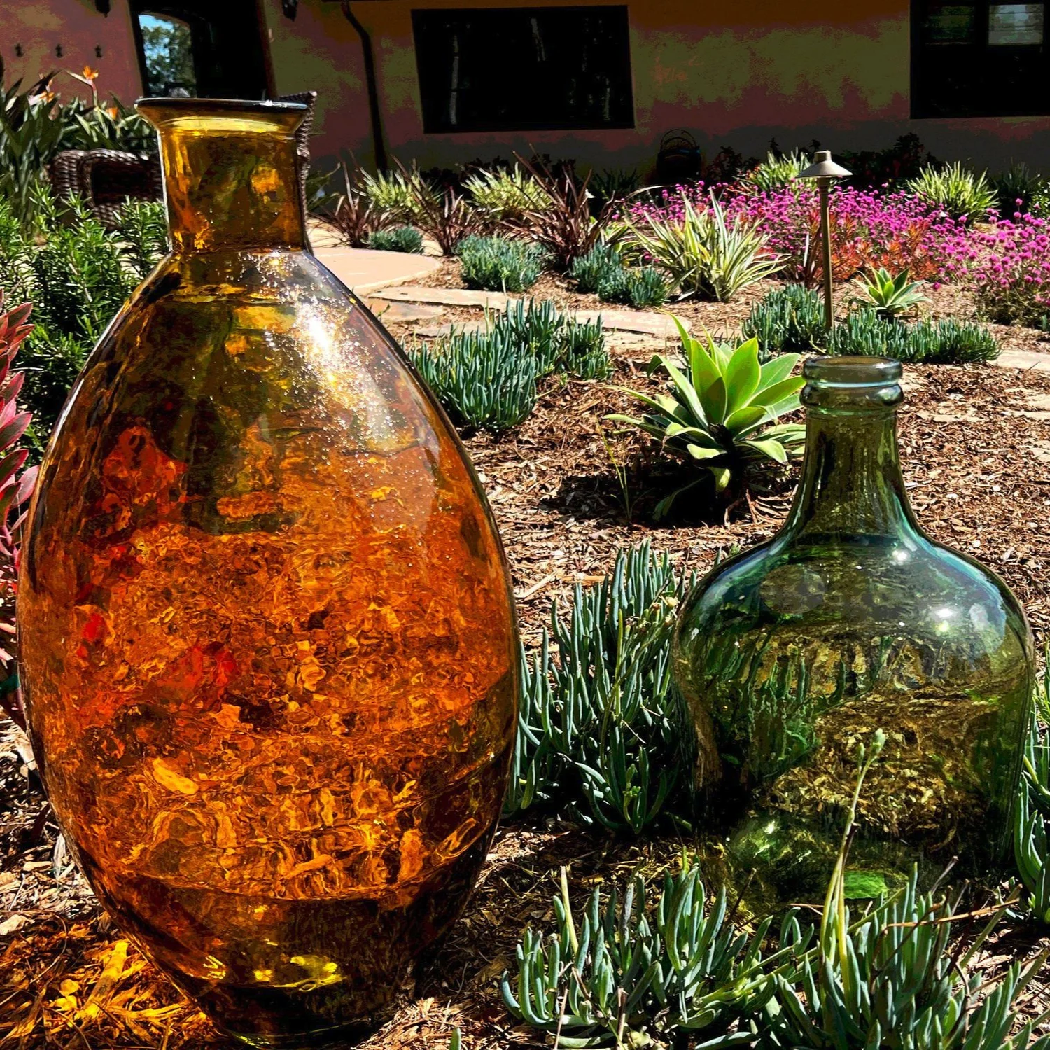 'The Universe in a Mustard Seed' in Del Mar landscape design in Del Mar, San Diego