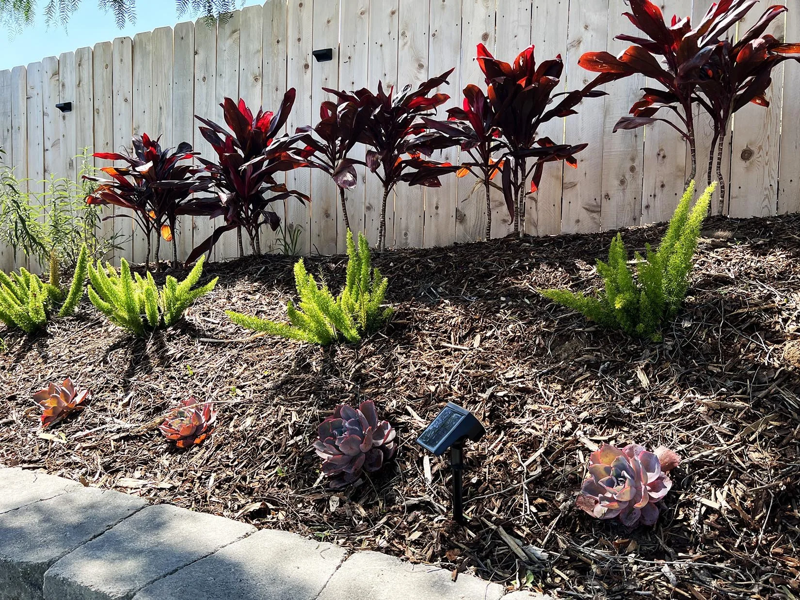 'Crescent Moon Fire' in Poway installed landscape - Poway, San Diego