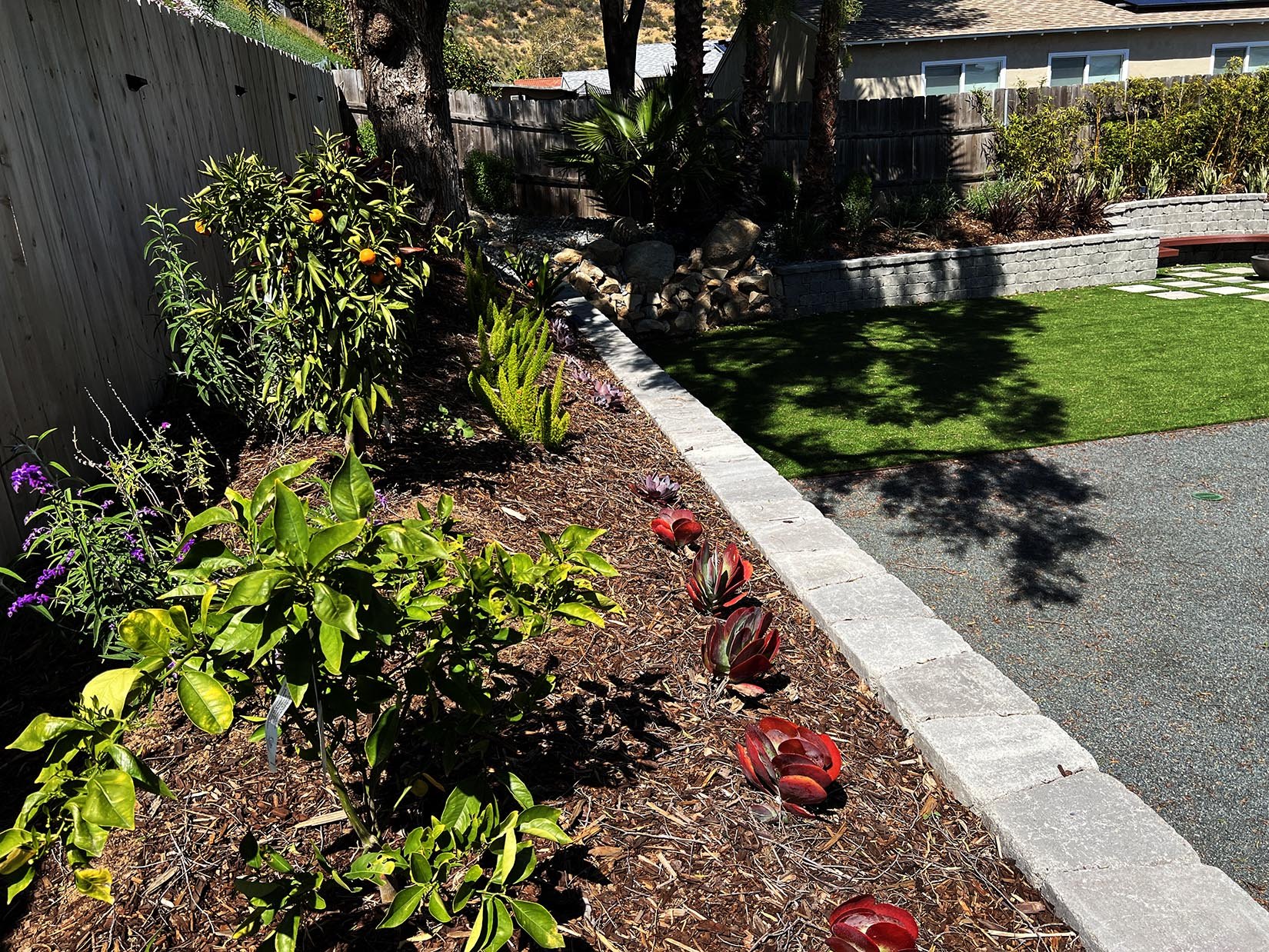 'Crescent Moon Fire' in Poway installed landscape - Poway, San Diego