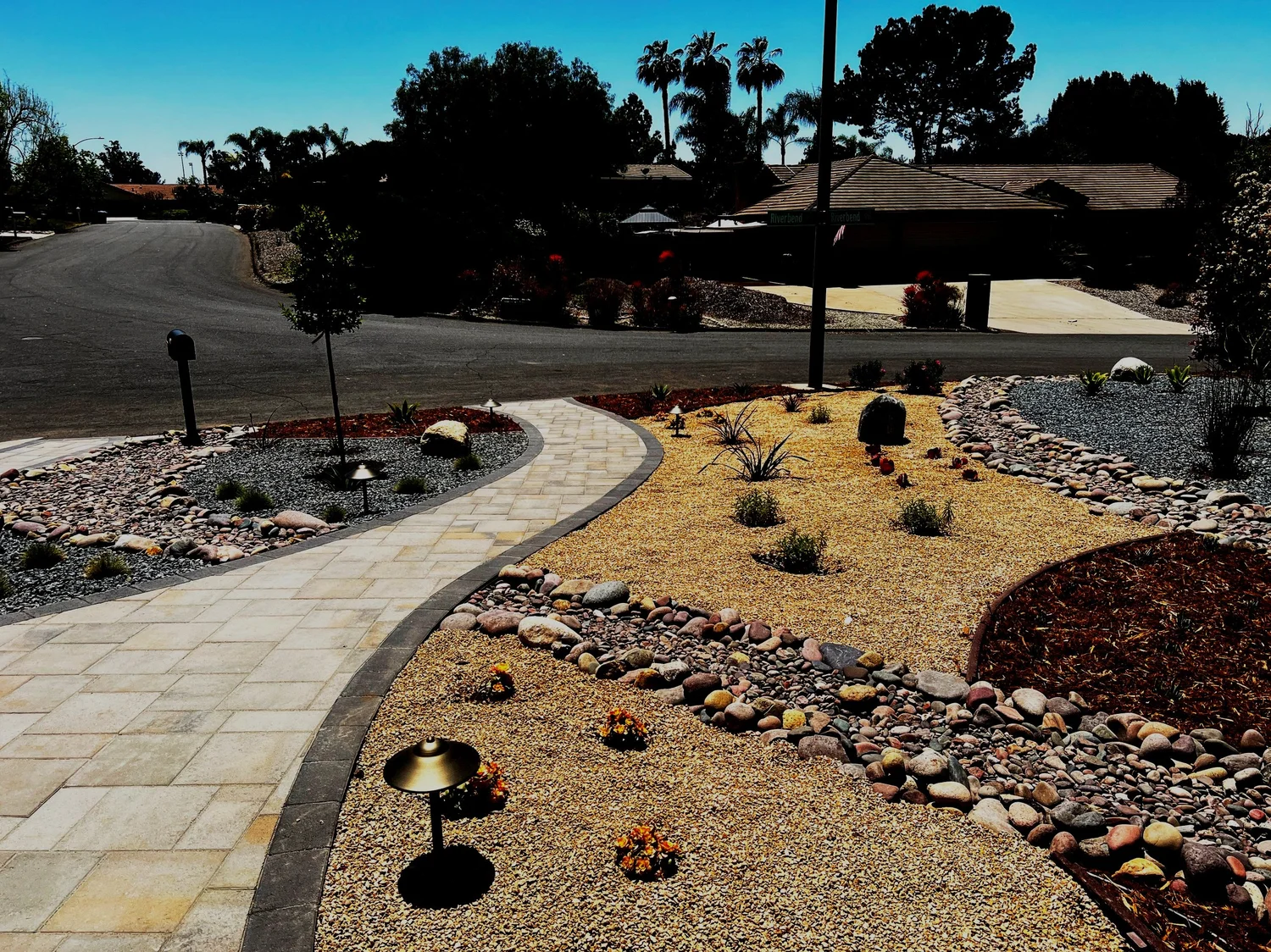 'Branches in the Wind' in Poway landscape design in Poway, San Diego