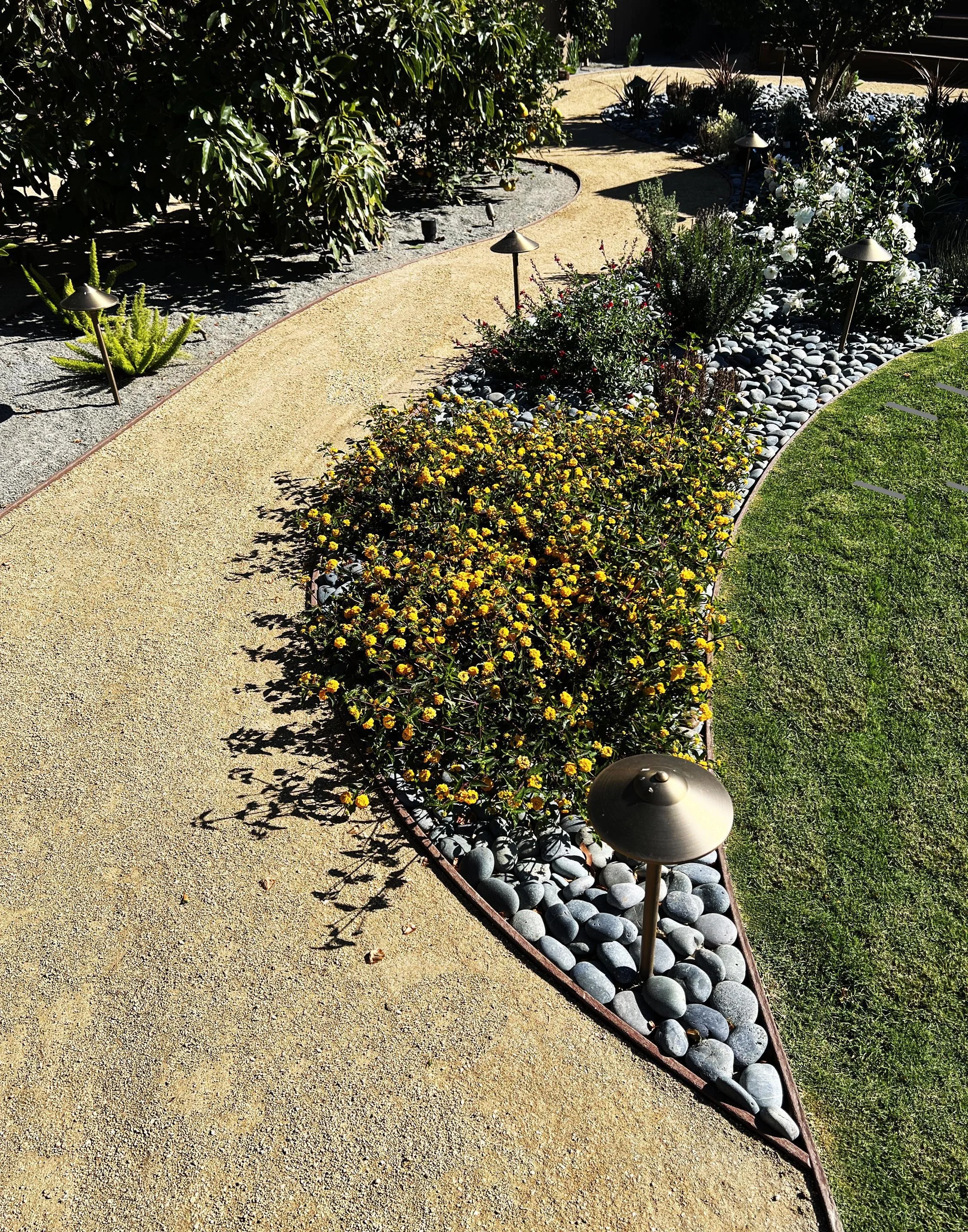'A New World' in Clairemont installed landscape - North Clairemont, San Diego