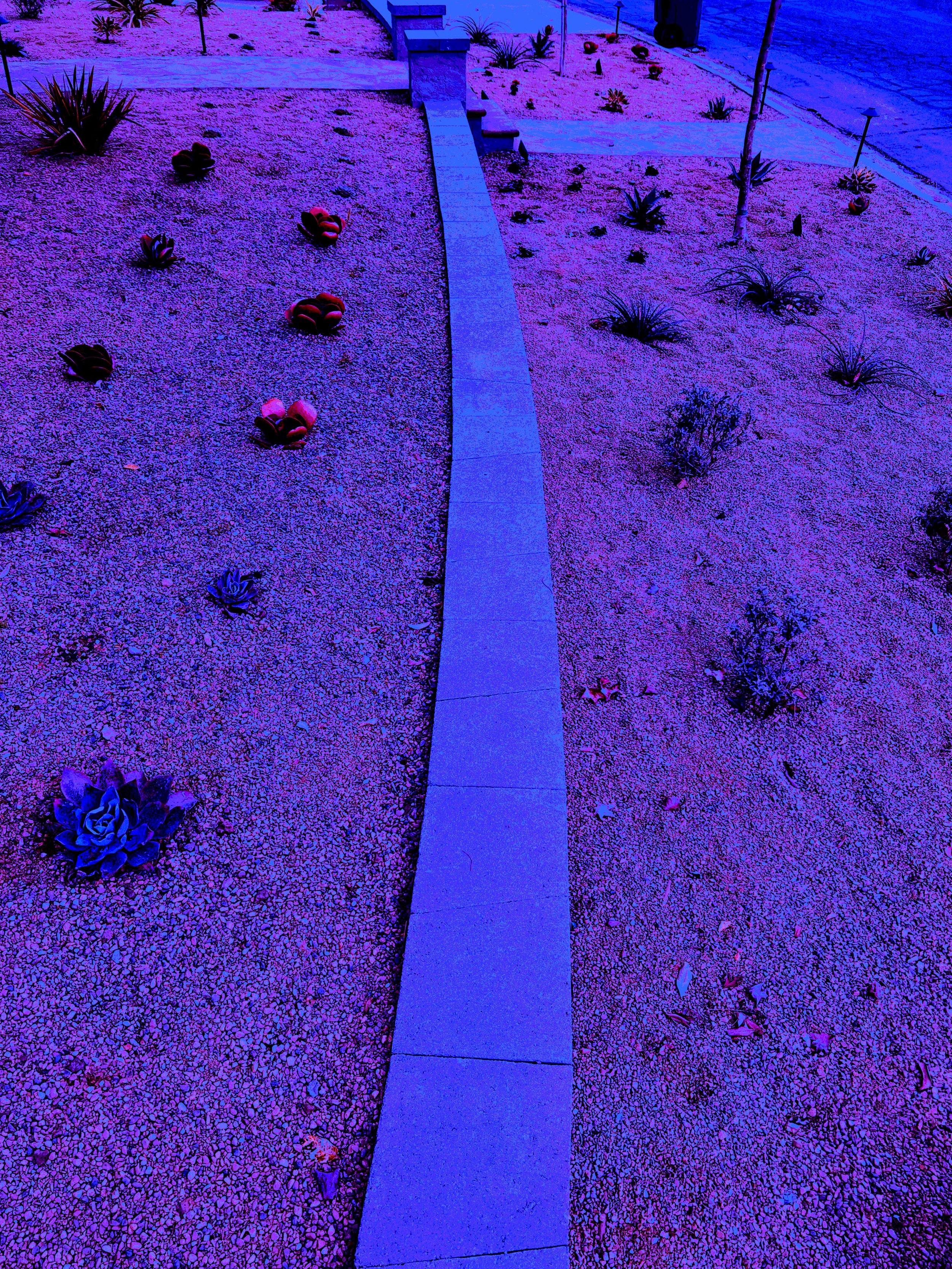 IMG_5700a.jpg