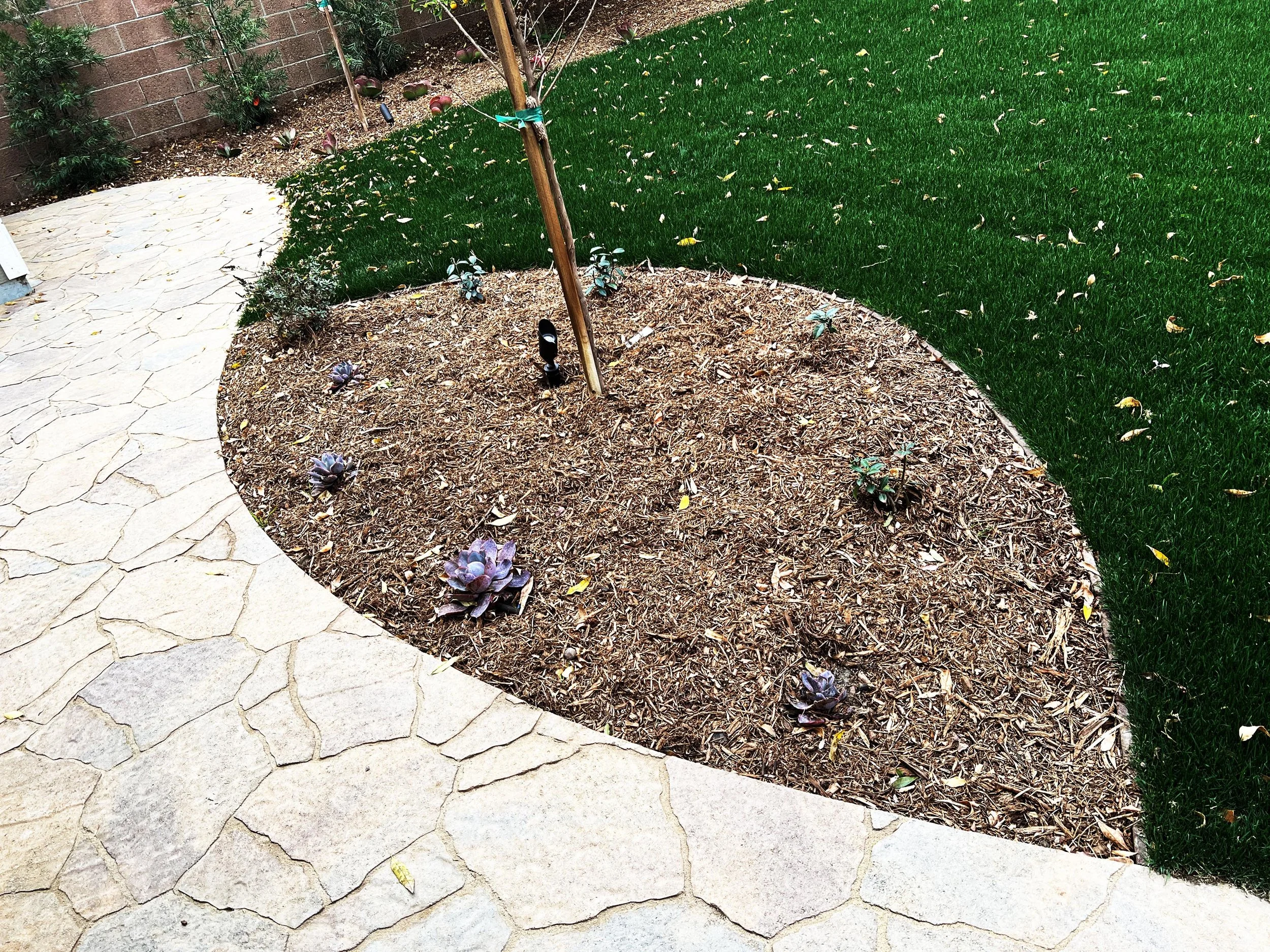 'Stone Sanctuary' in La Mesa installed landscape - La Mesa, San Diego