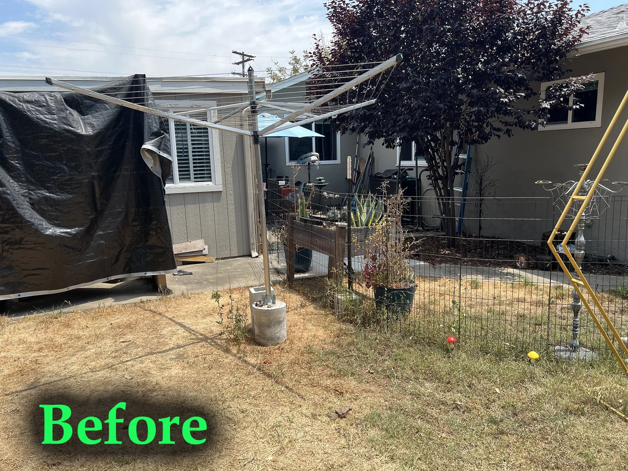 'Stone Sanctuary' in La Mesa installed landscape - La Mesa, San Diego