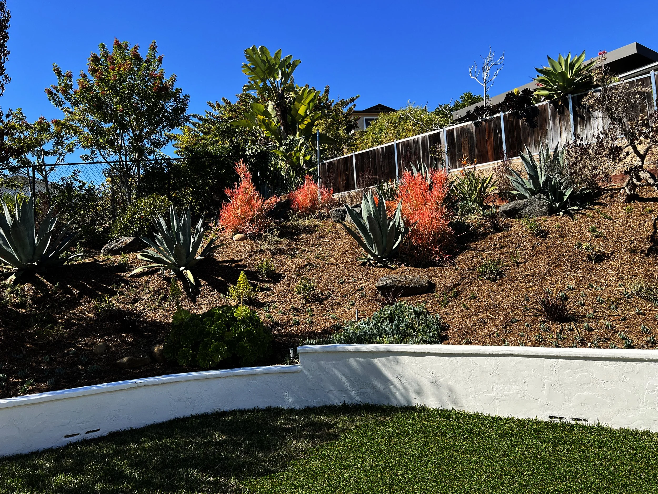 'Chalice of Grandeur' in La Jolla installed landscape - La Jolla, San Diego