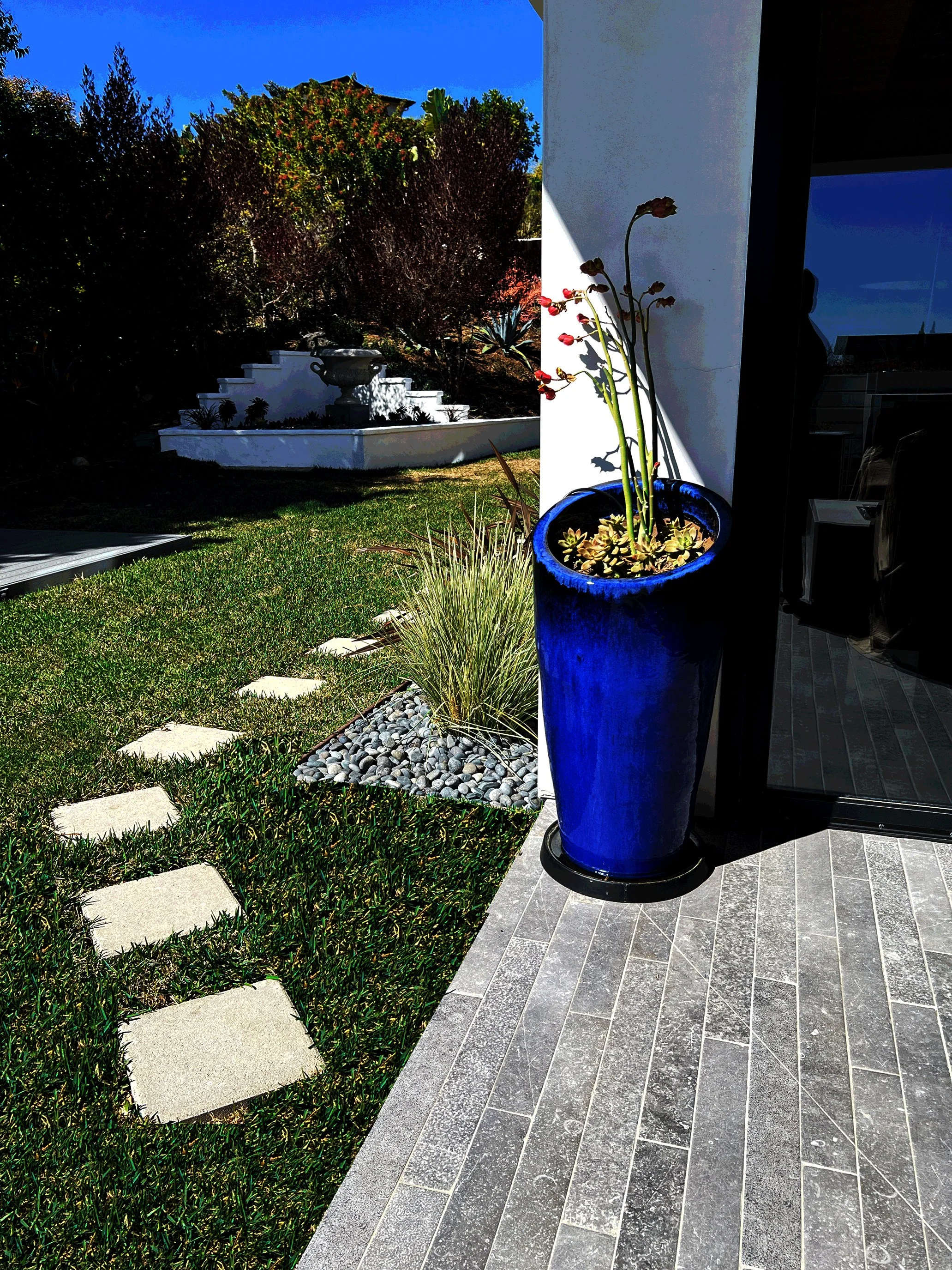 'Chalice of Grandeur' in La Jolla installed landscape - La Jolla, San Diego