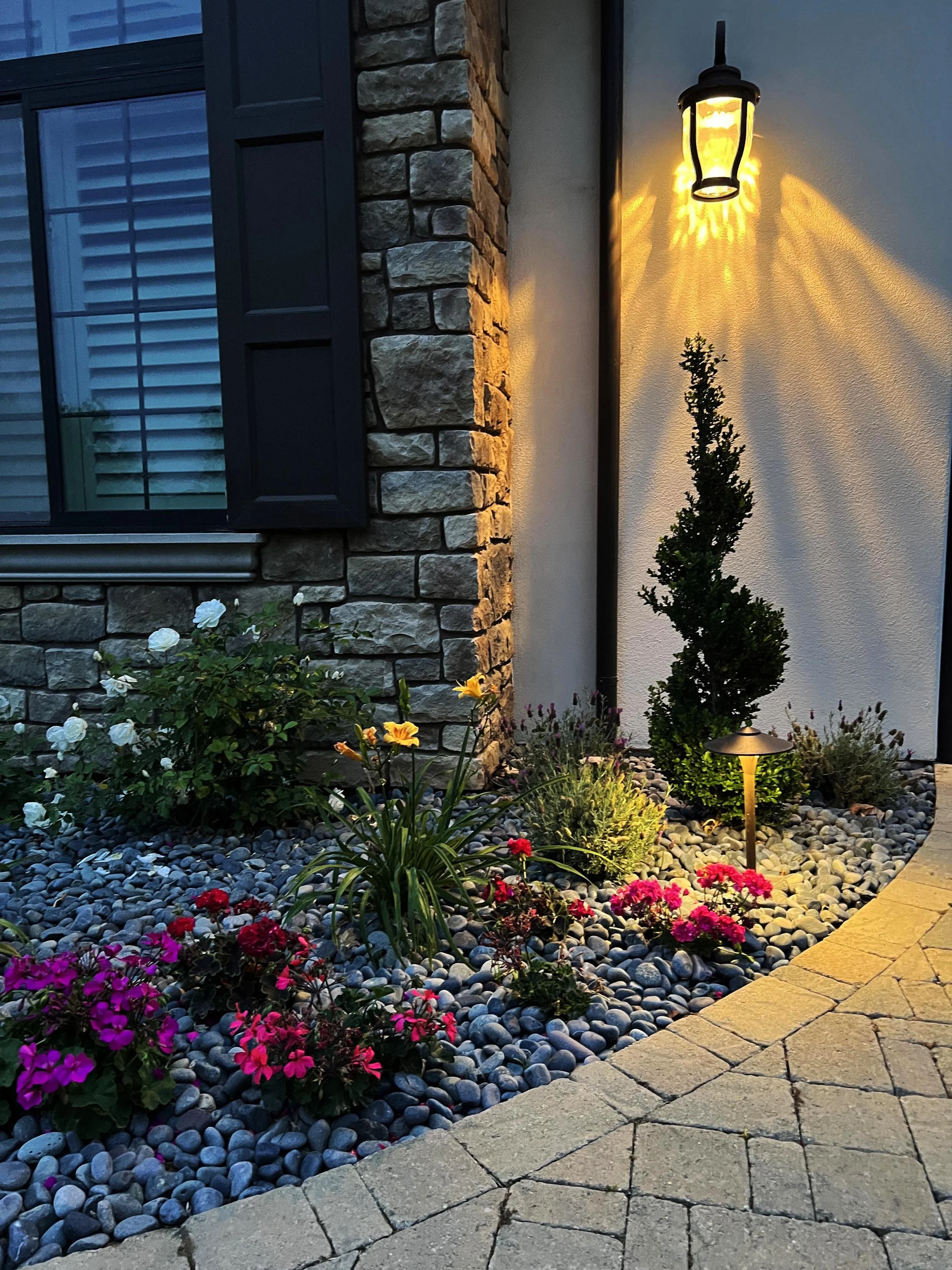 'Enriched Greenery' in Del Mar installed landscape - Del Mar, San Diego