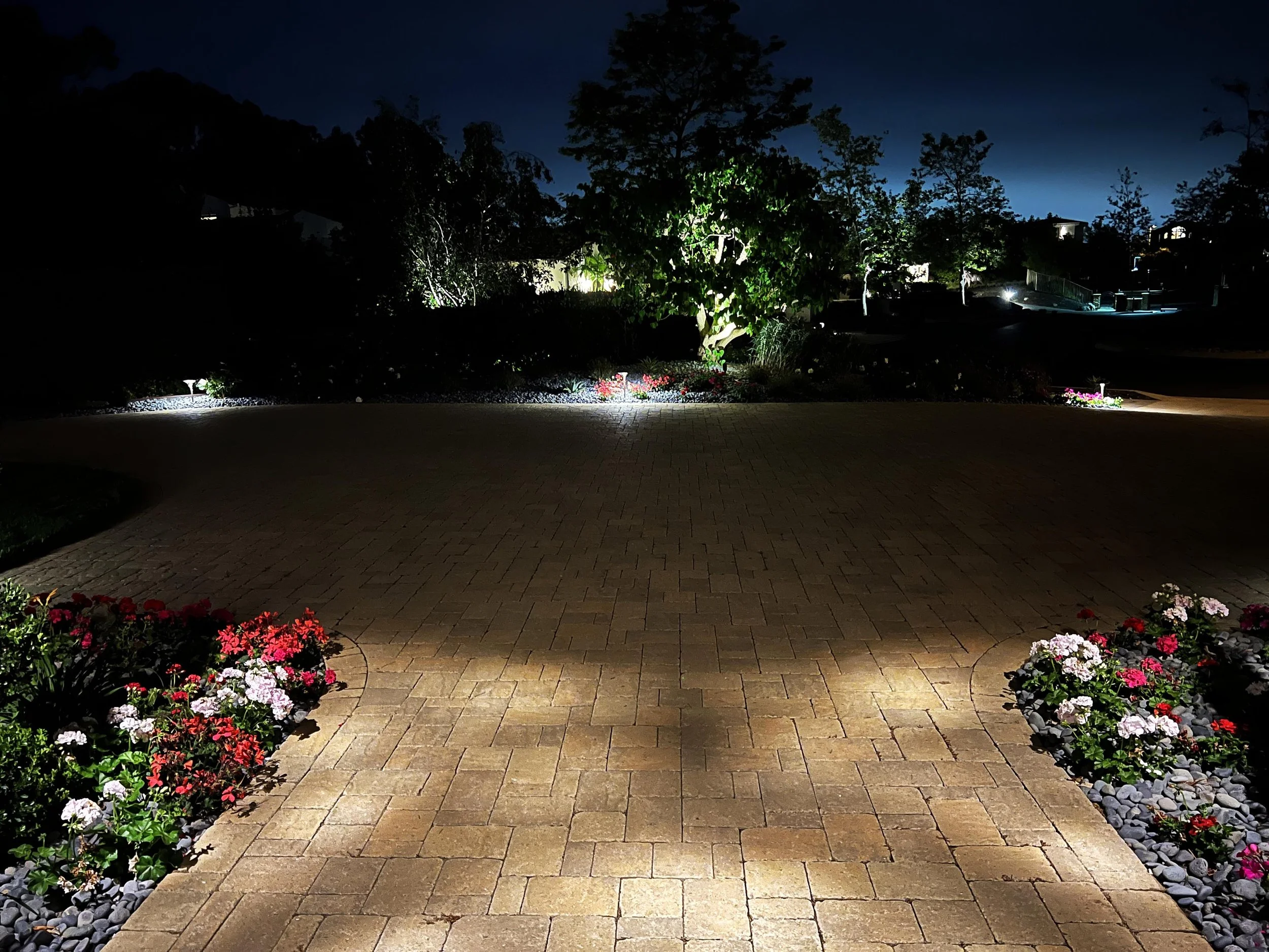 'Enriched Greenery' in Del Mar installed landscape - Del Mar, San Diego
