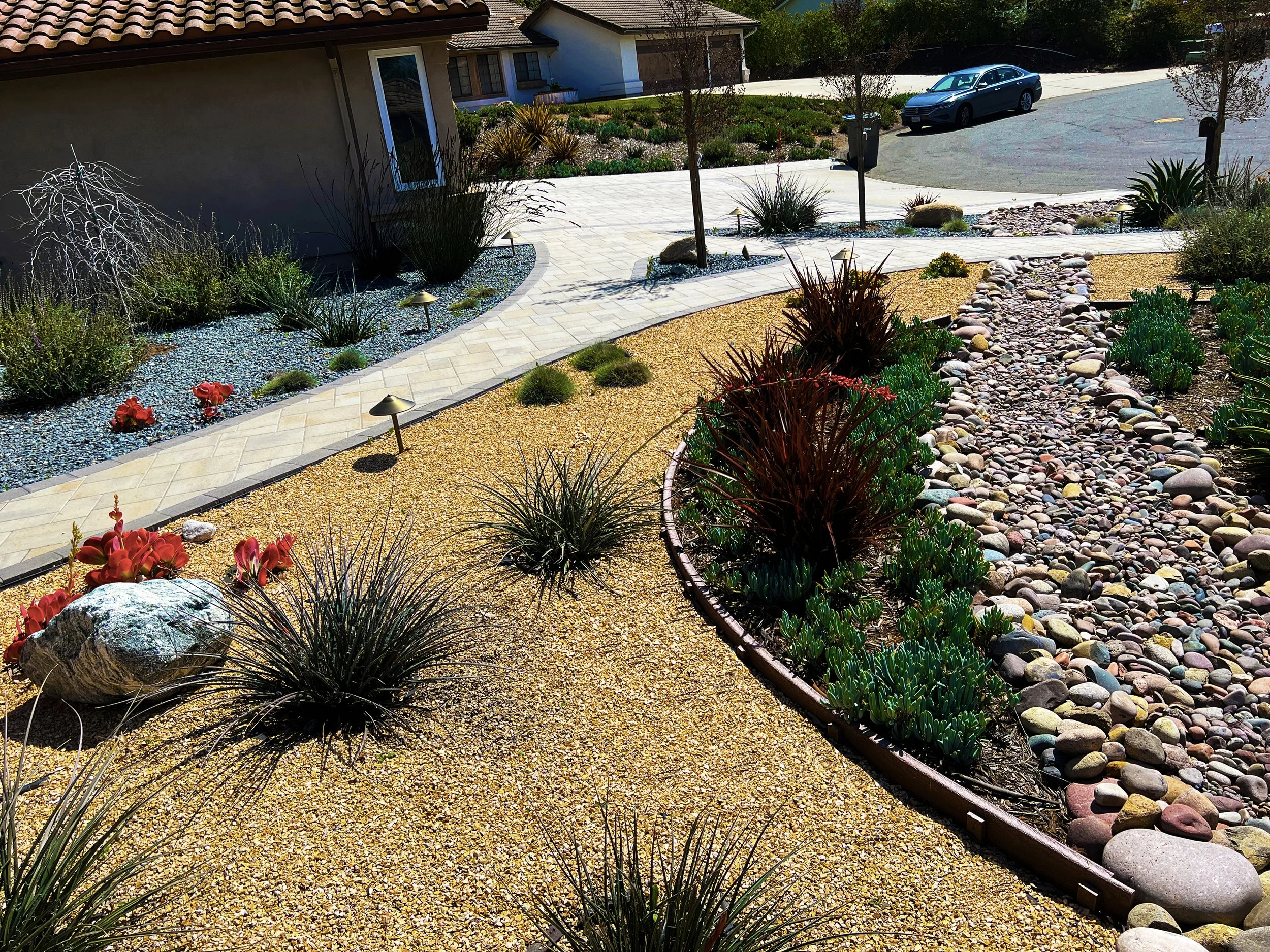 'Branches in the Wind' in Poway installed landscape - Poway, San Diego