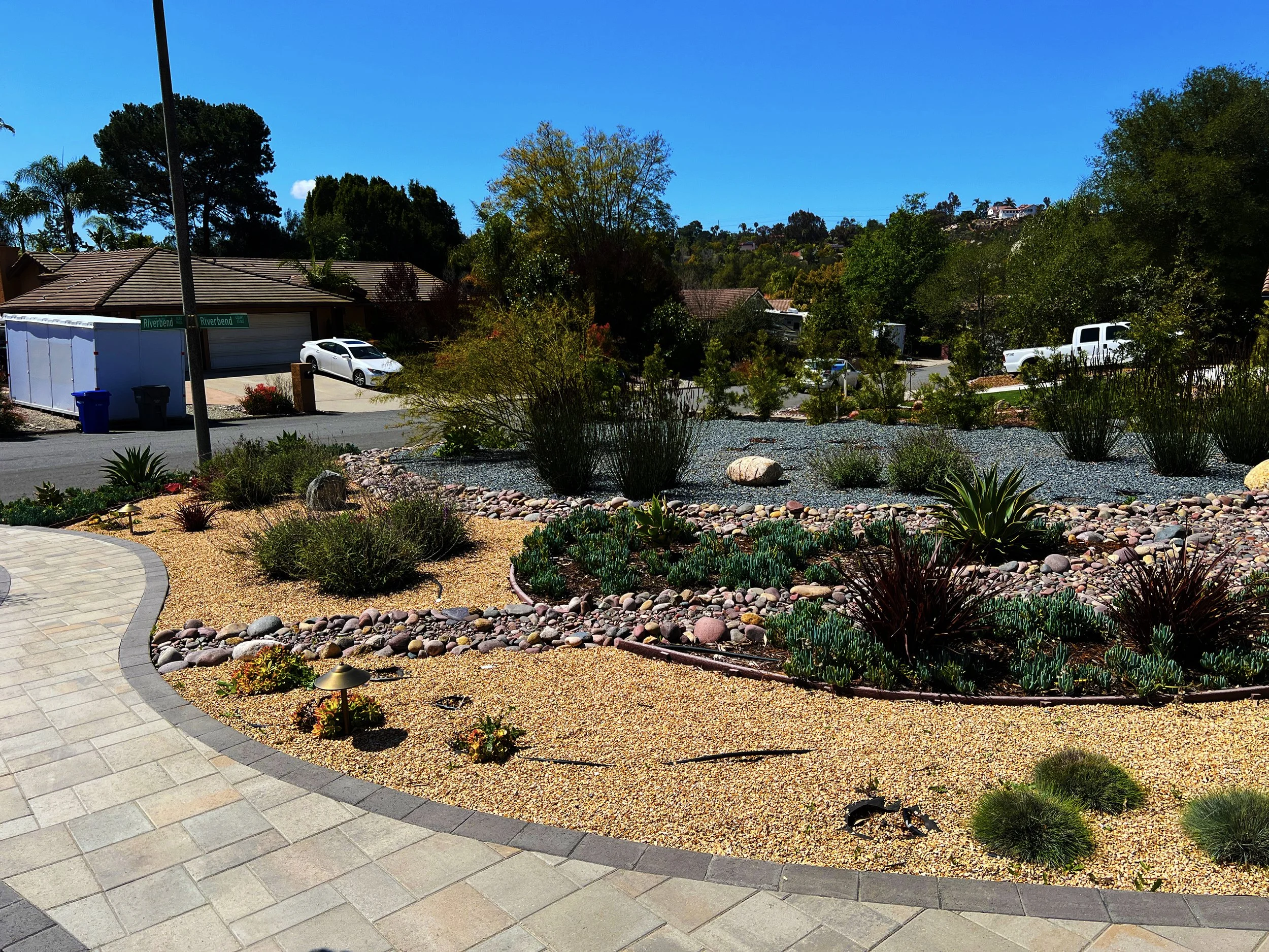 'Branches in the Wind' in Poway installed landscape - Poway, San Diego