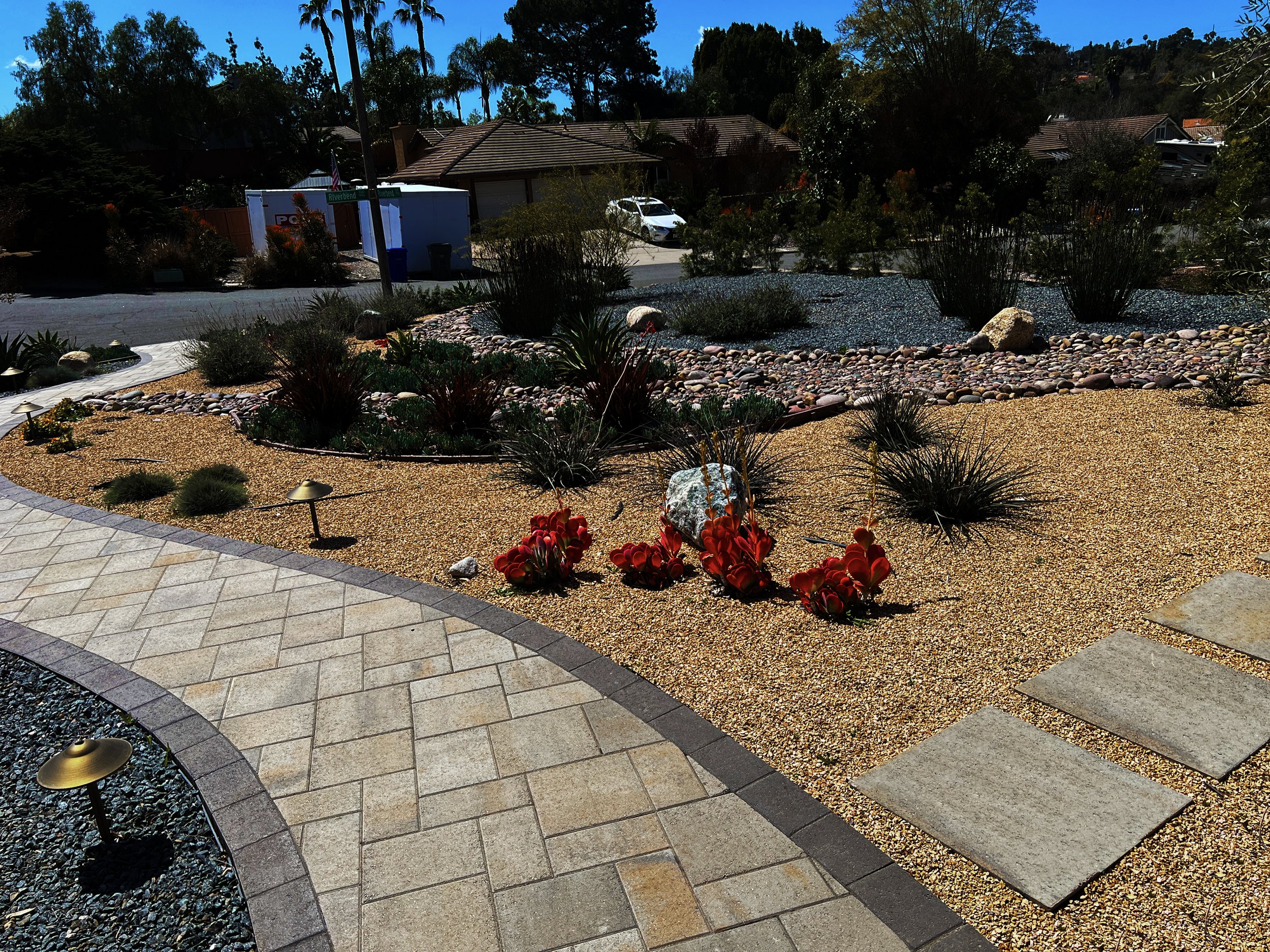 'Branches in the Wind' in Poway installed landscape - Poway, San Diego