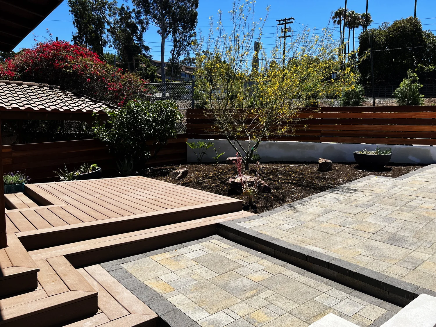 'Yellow Sudoku' in La Mesa landscape design in La Mesa, San Diego