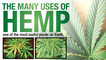 Bringing Hemp to Illinois