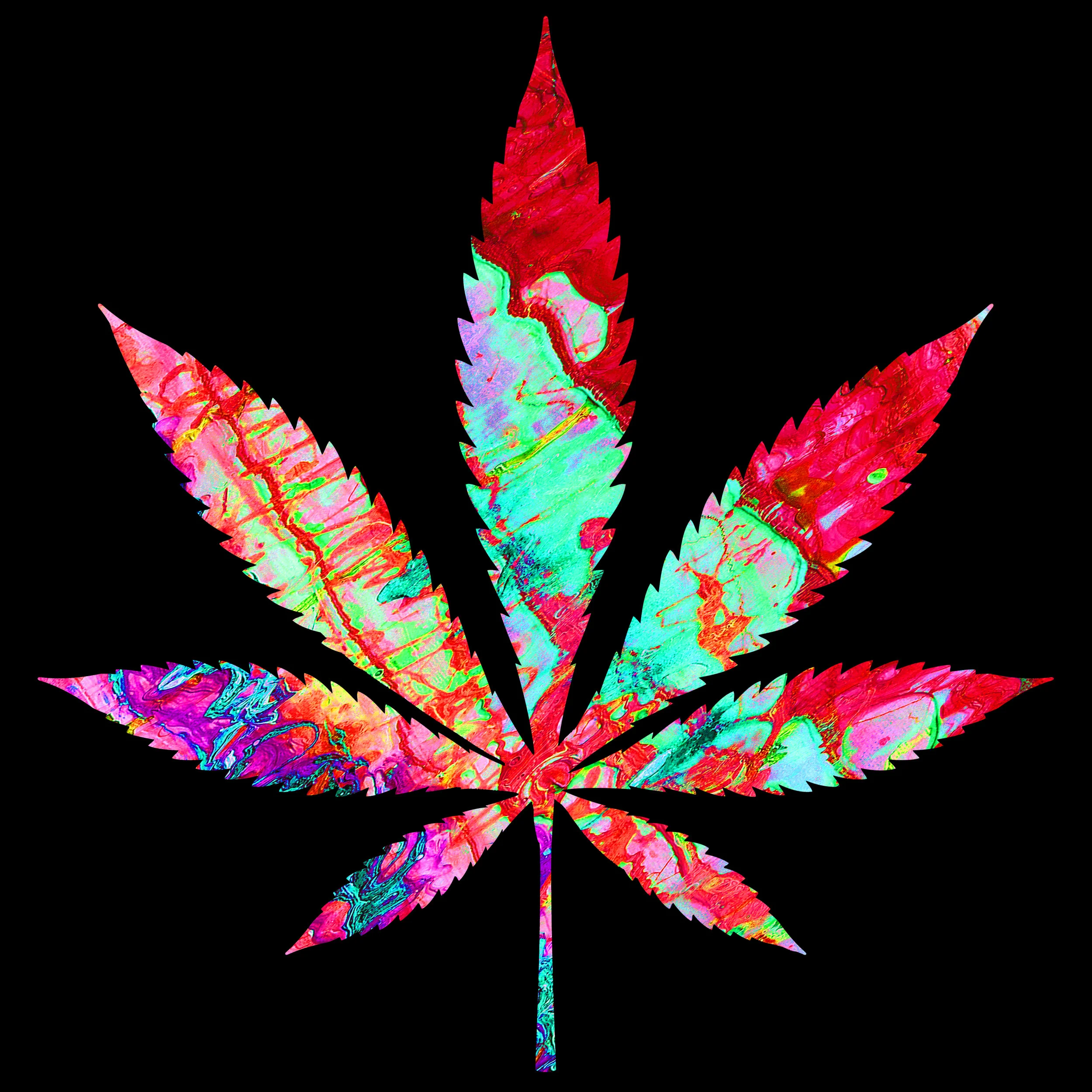 How did Cannabis Fare on Election Night 2018?