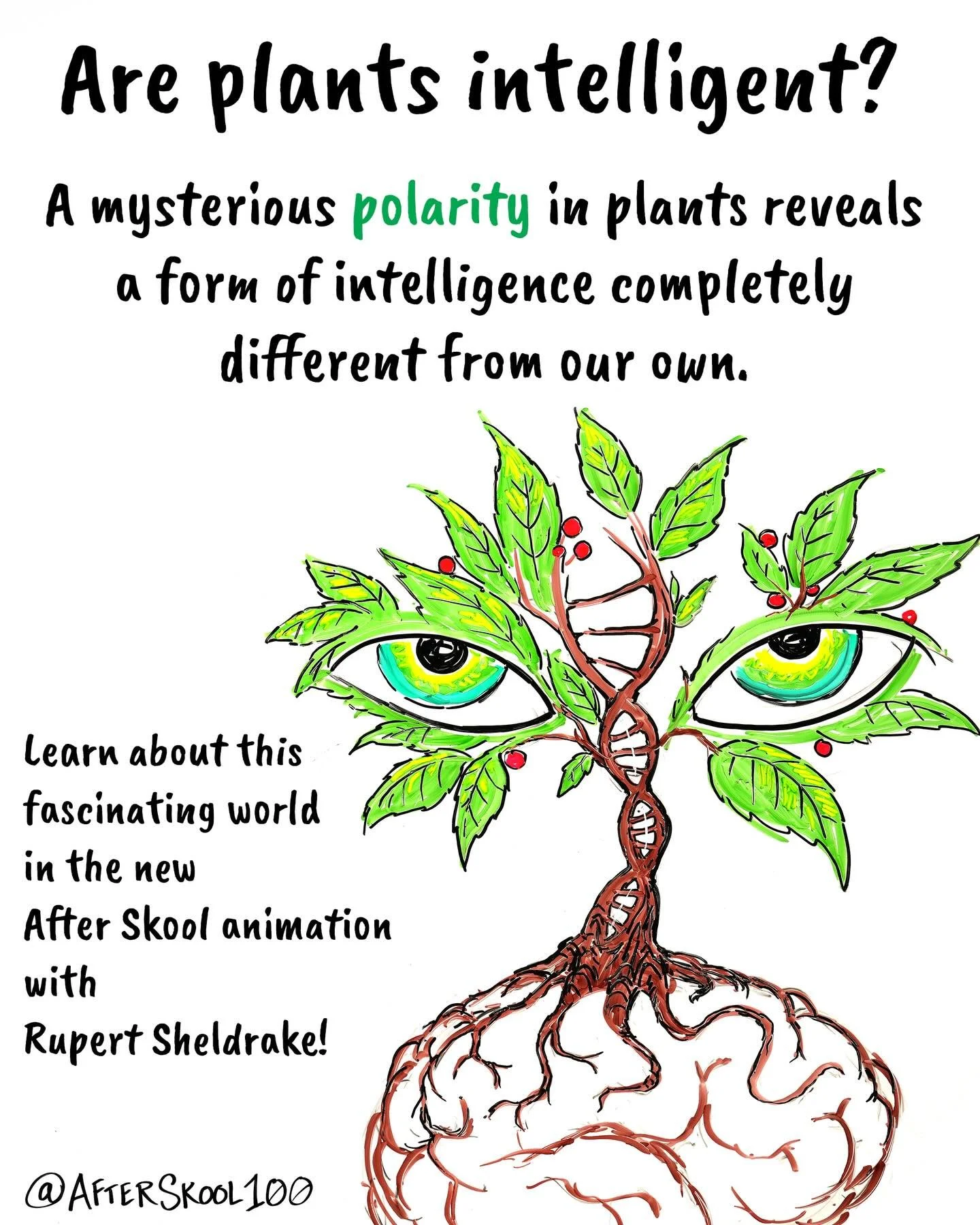 If you&rsquo;re at all fascinated by plants, then you&rsquo;re going to love this video. The new After Skool animation, with the brilliant researcher, Rupert Sheldrake,  takes a deep dive into the secret life of plants - they exhibit a form of intell