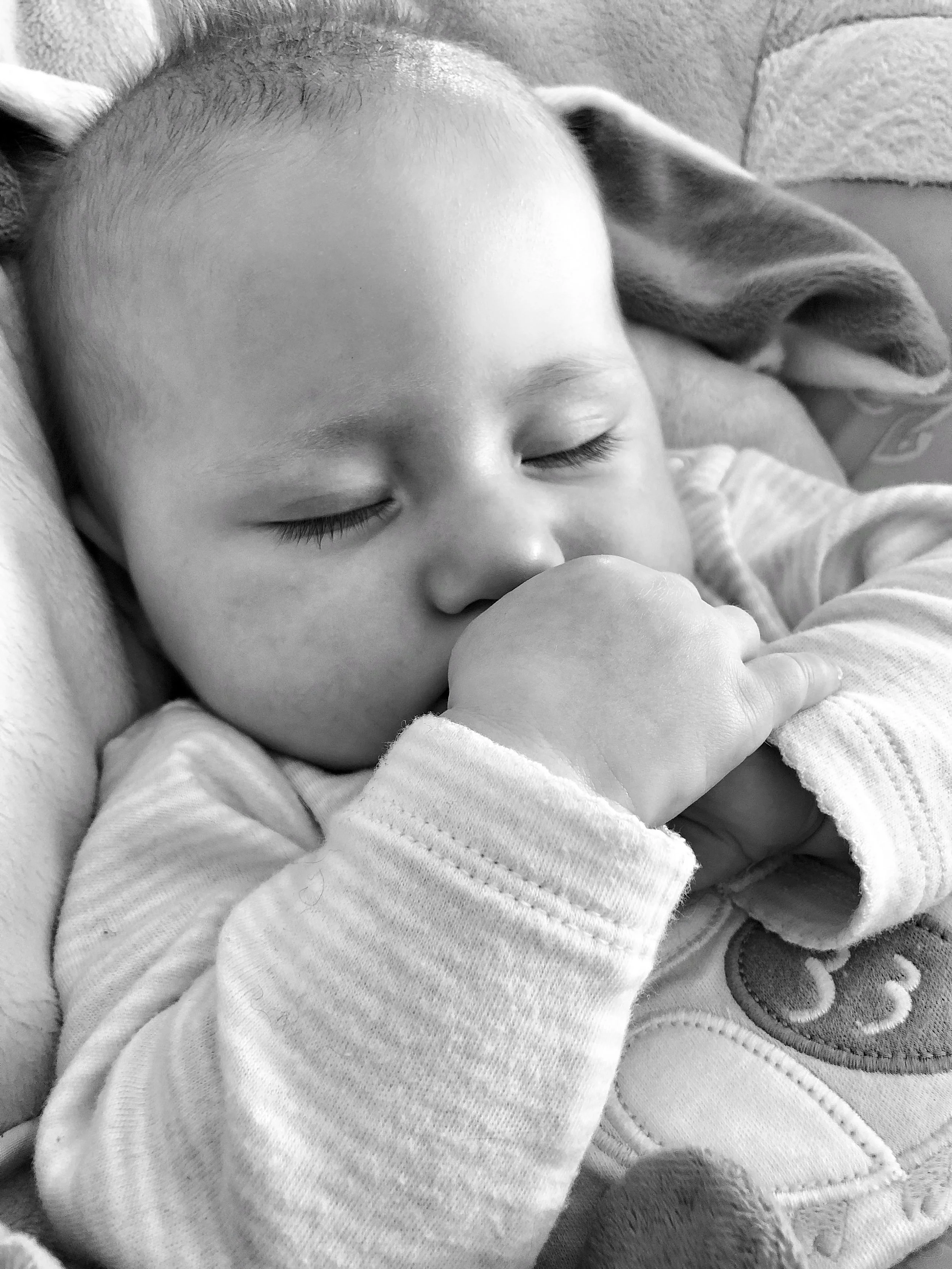 Banner | Baby.JPG