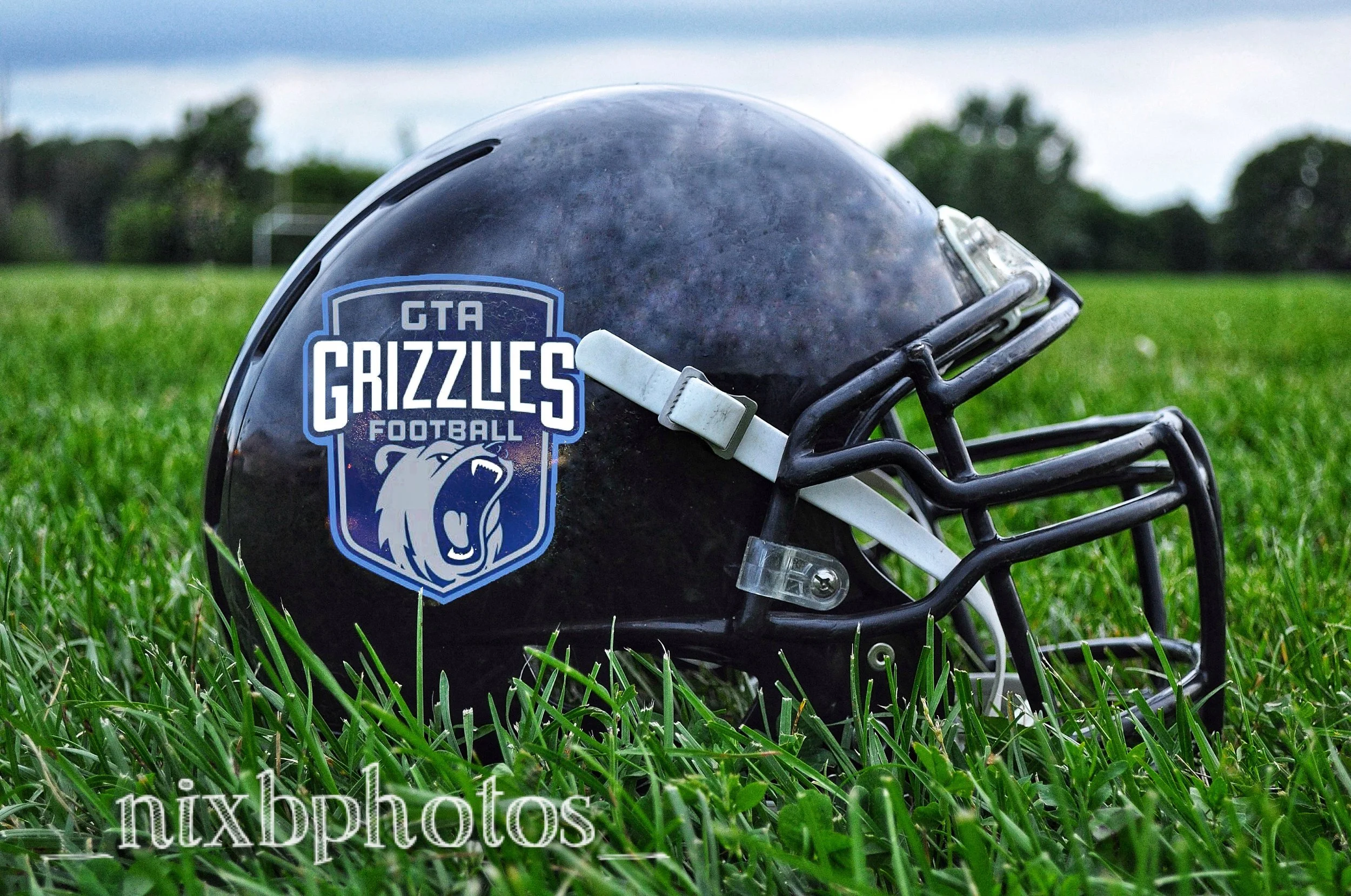 grizzlies helmet.jpg