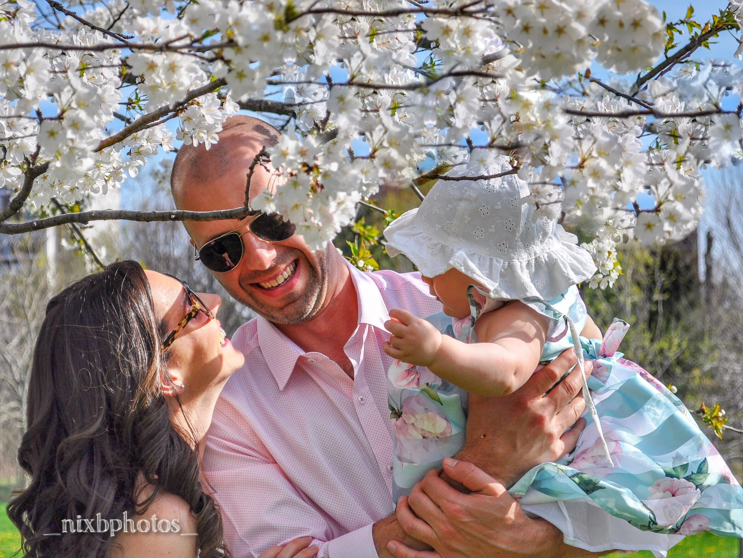 OurFamilyBlossoms.jpg