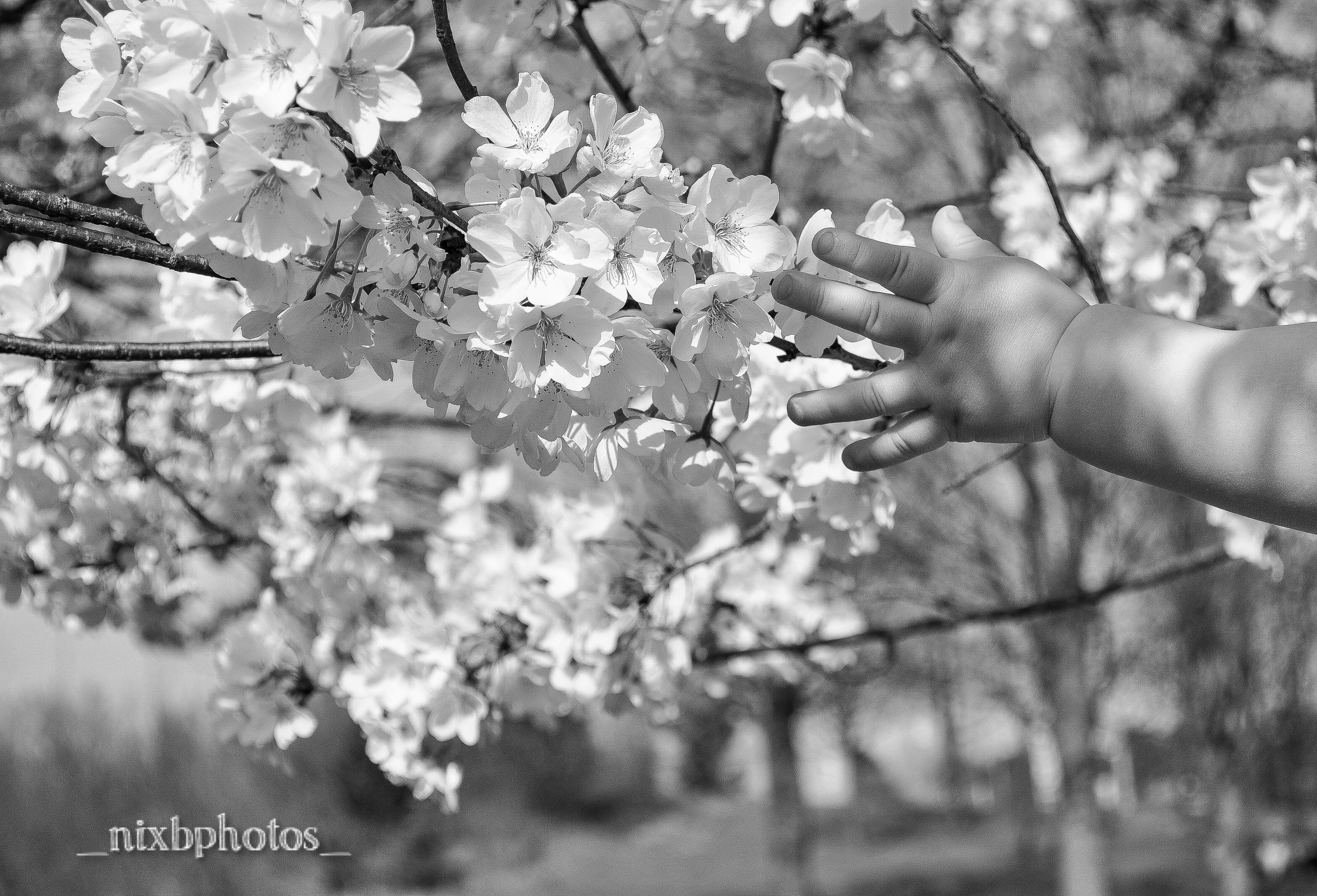 VictoriaHand_B&W.jpg