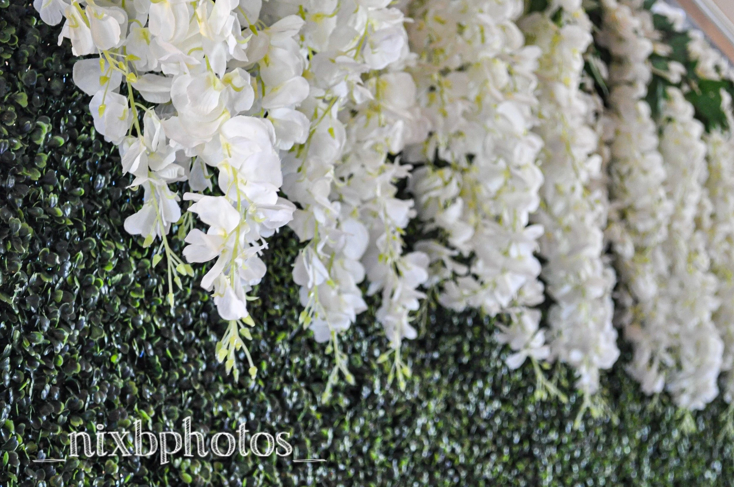 Flower Wall was created and provided by: Flower Wall Duo. You can check them out on Instagram here.