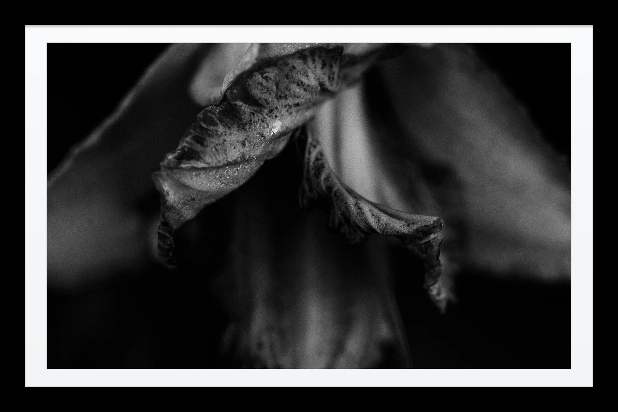 4D39ECB5-D77F-45AE-82AE-065B57E4FF72