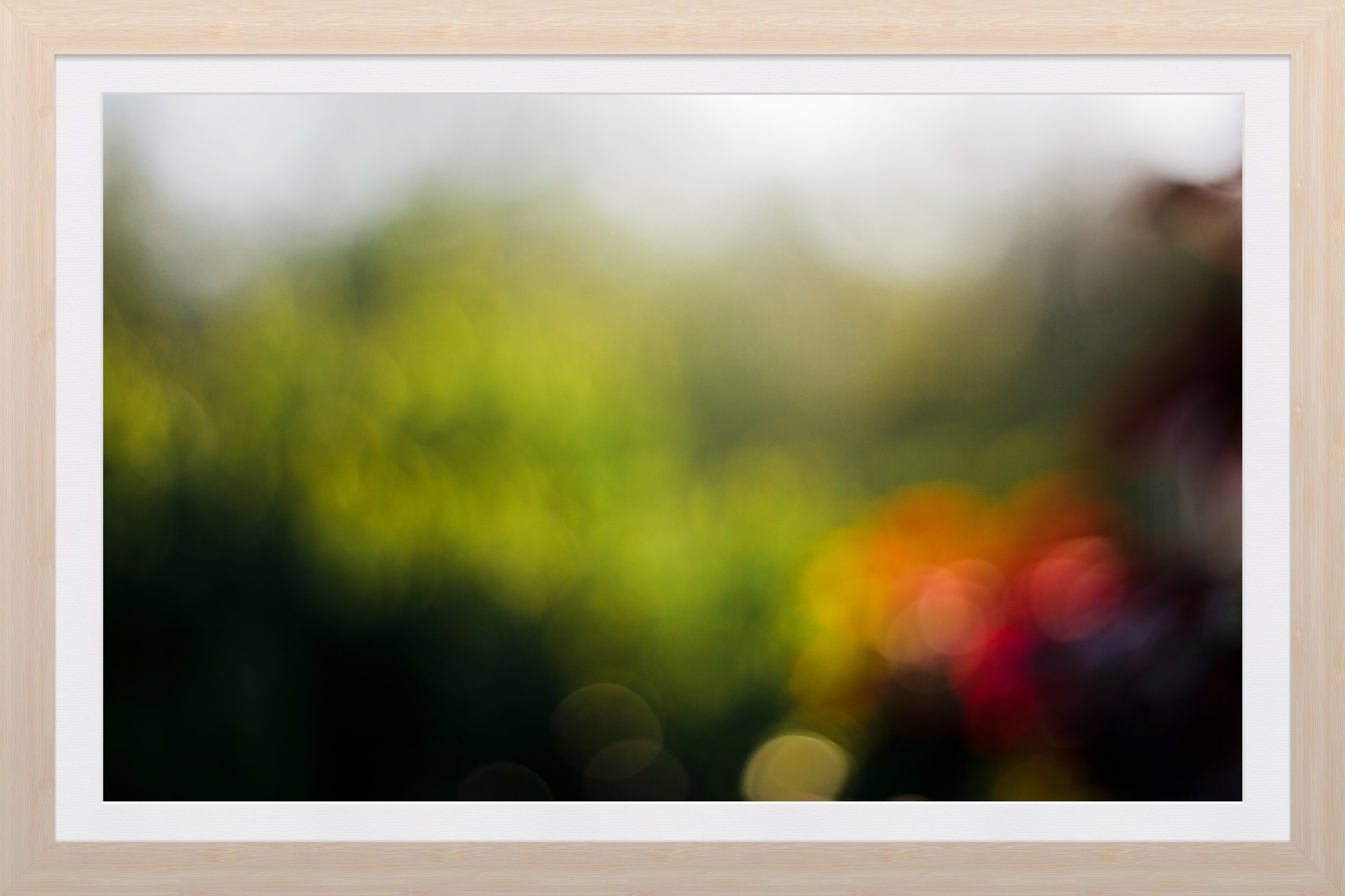 C6835358-FEA1-4FC7-8264-CB2505022587