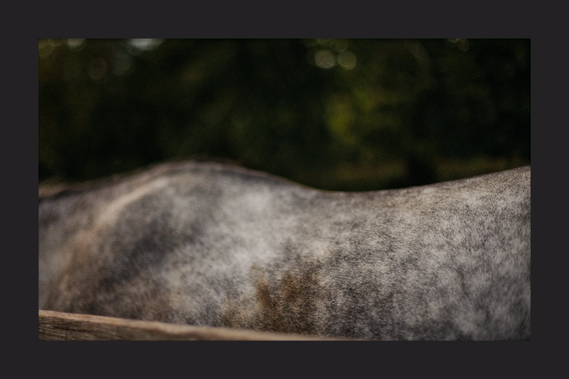 A3D4B77B-1508-4E6F-9E1D-8C2066A65C8A