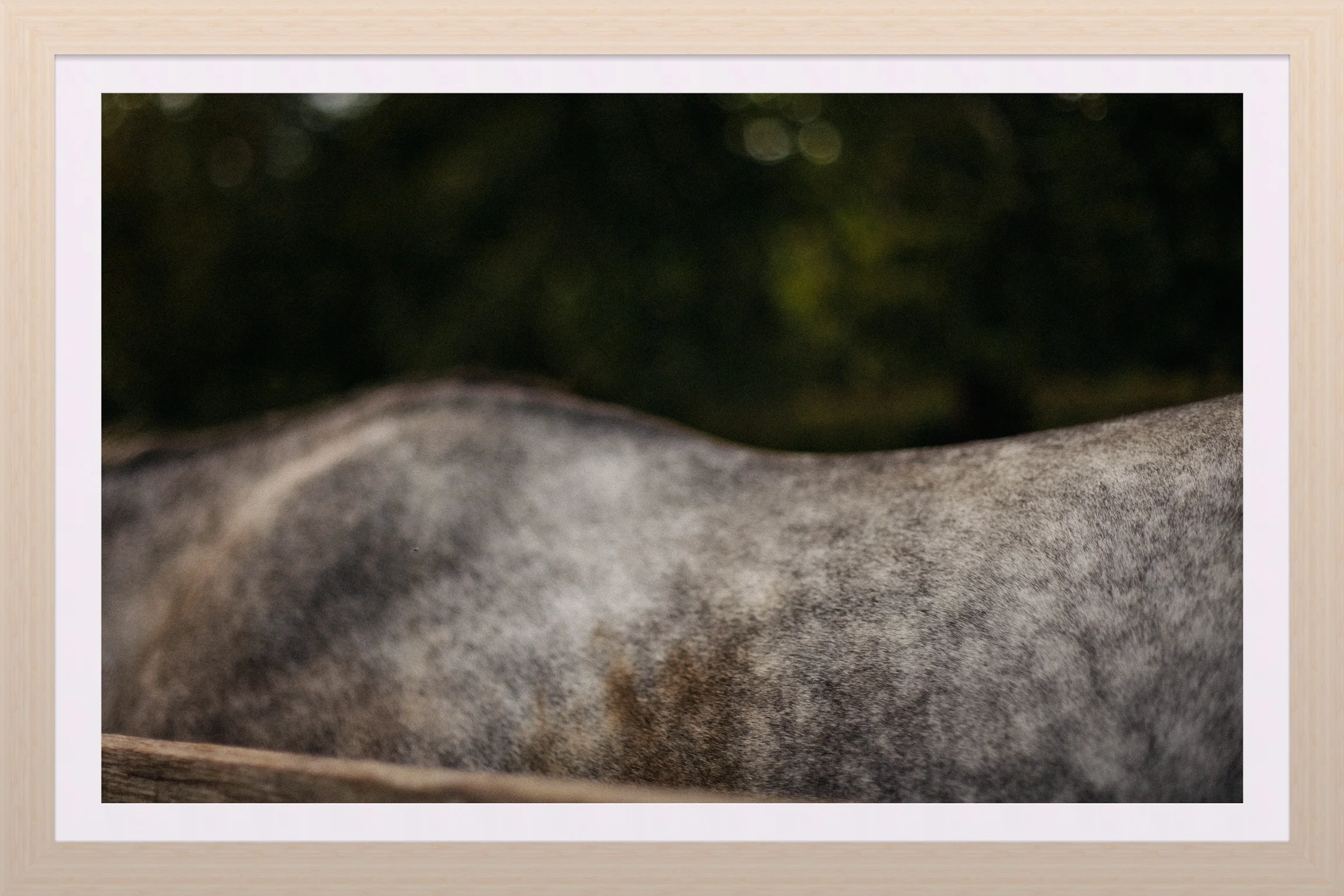 250E77E5-92D8-4DCD-8EBB-089458567D47