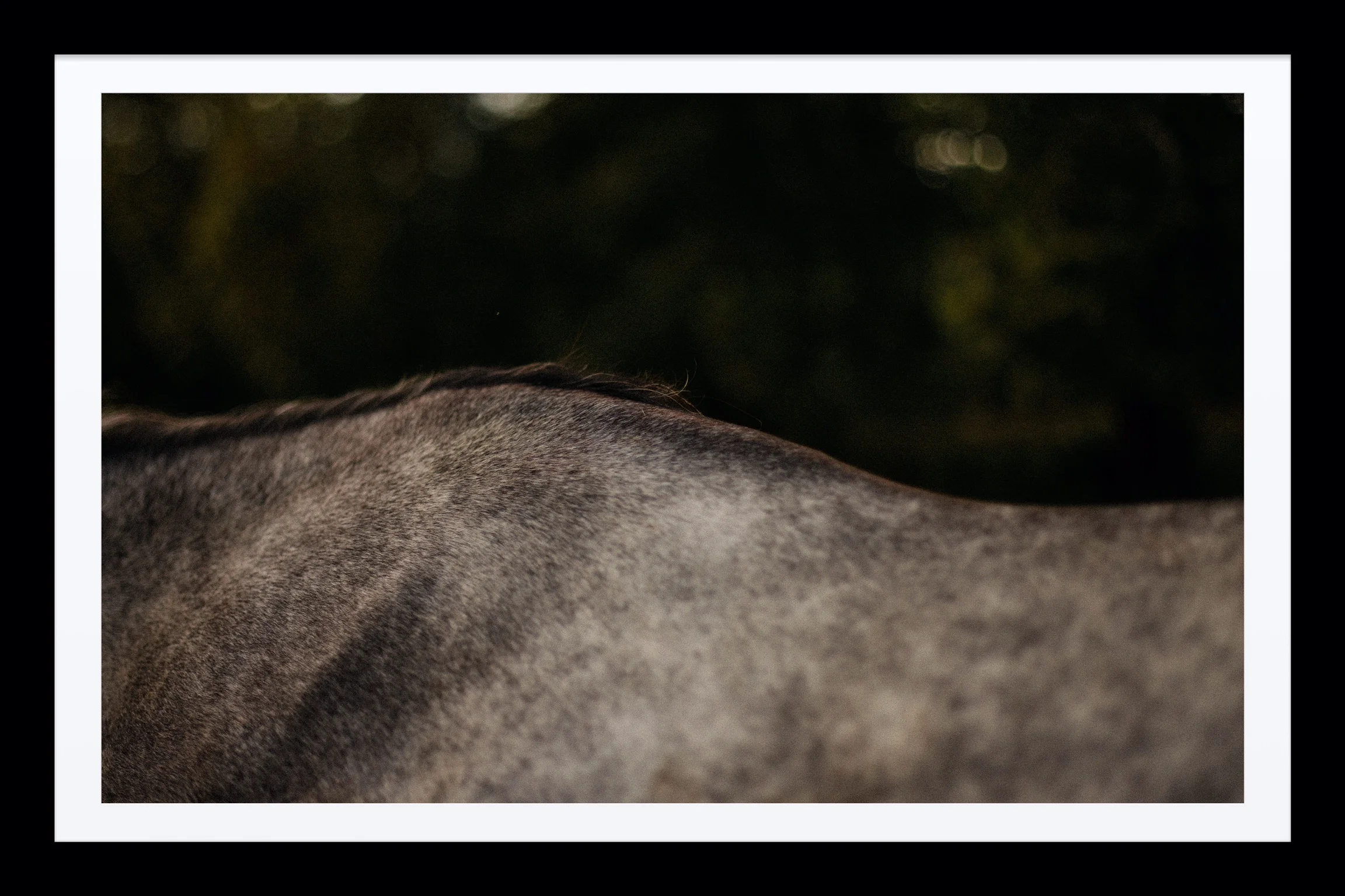 DDF15E7D-48AF-47B6-B420-31B5B55F1B72