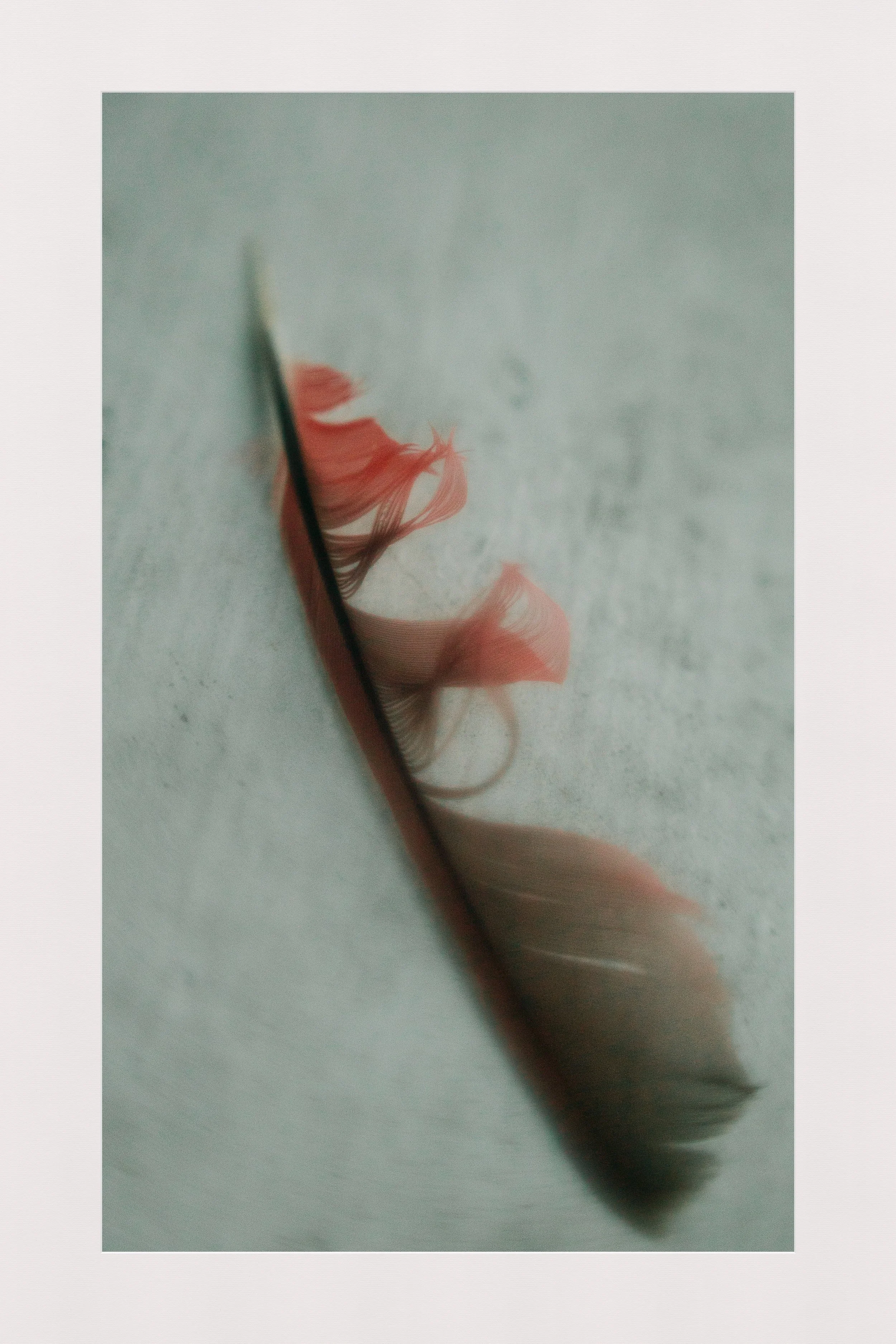 E4C13033-021A-42F5-B6AB-5A6B089F5967