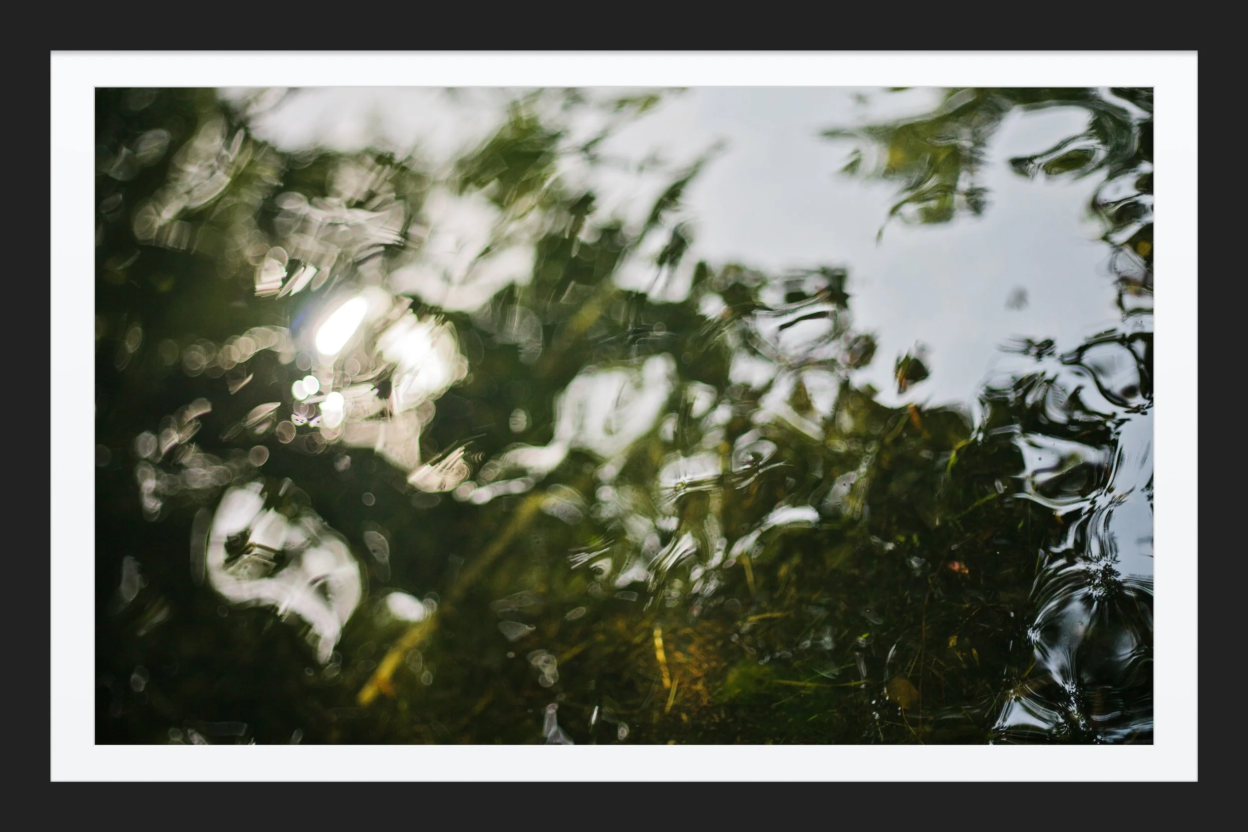 CD339557-8159-4E2F-8121-4429582DB636