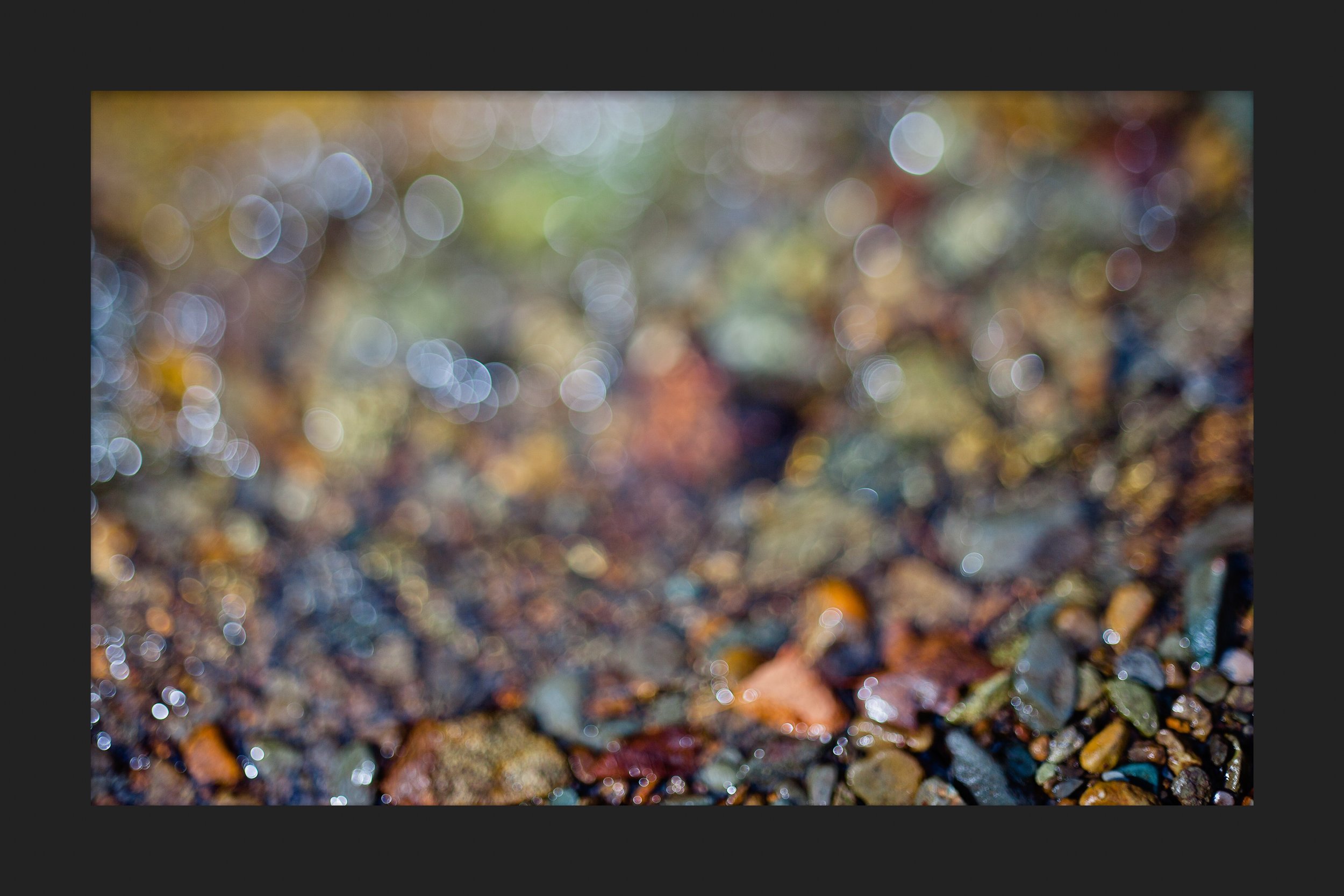 043E717D-7F58-4F8E-8F6F-D98FE6BDACE0