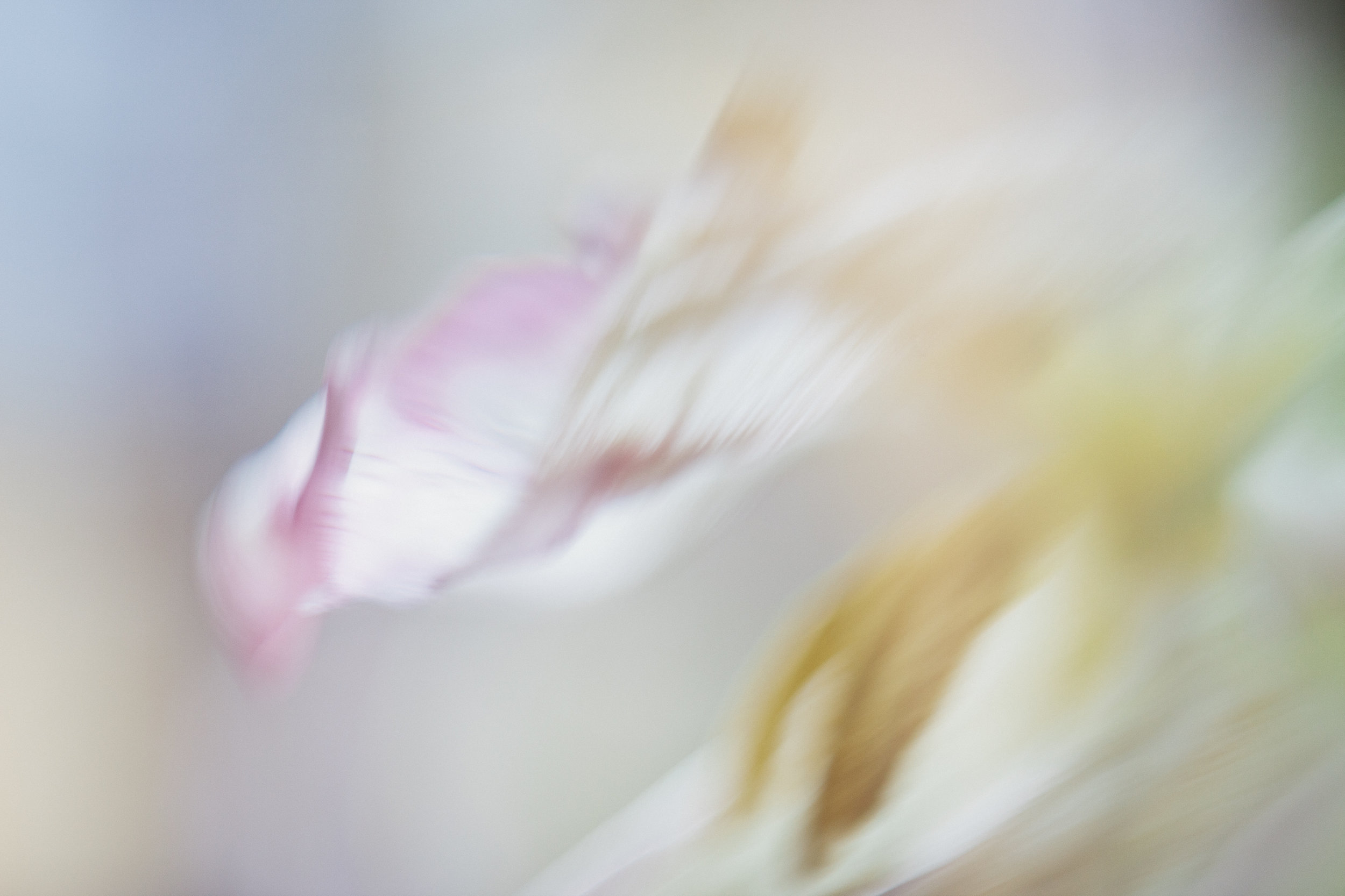 CAD28267-E84A-433D-A446-982115FCCAB2.jpeg