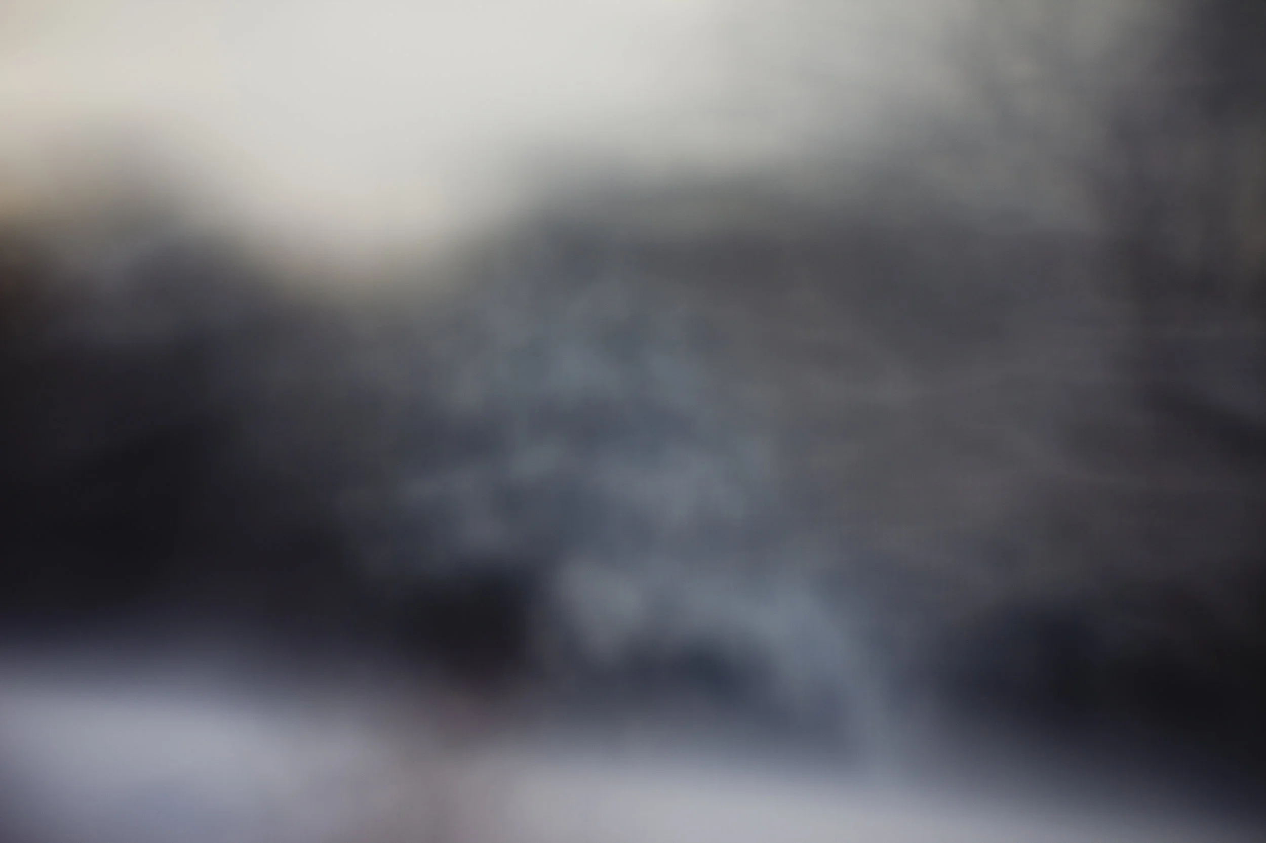 3B95D5DD-3FF3-421E-A2E0-542933F2E6CC.jpeg