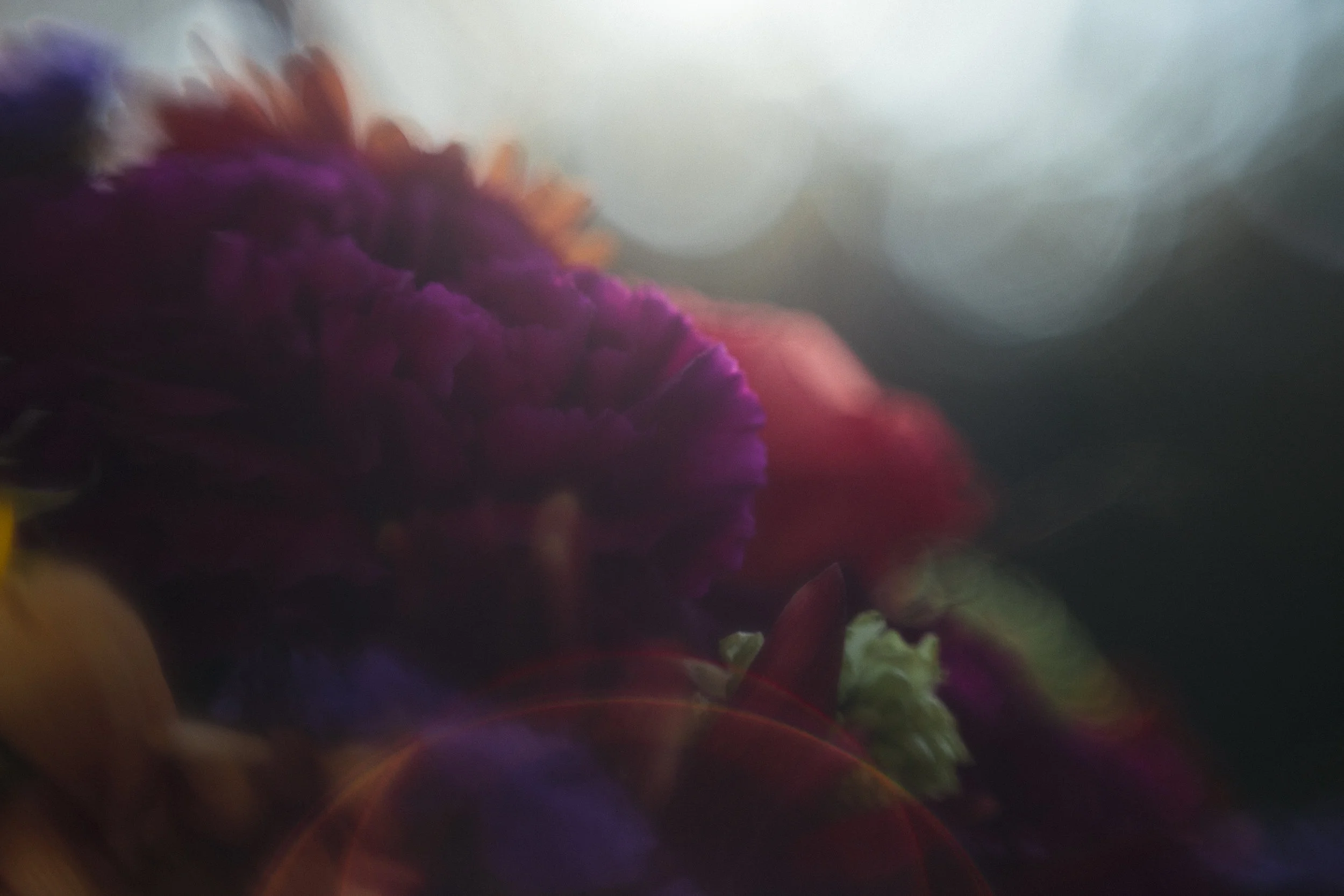 2CDEDB52-344A-4668-B54D-415F9E628F58.jpeg