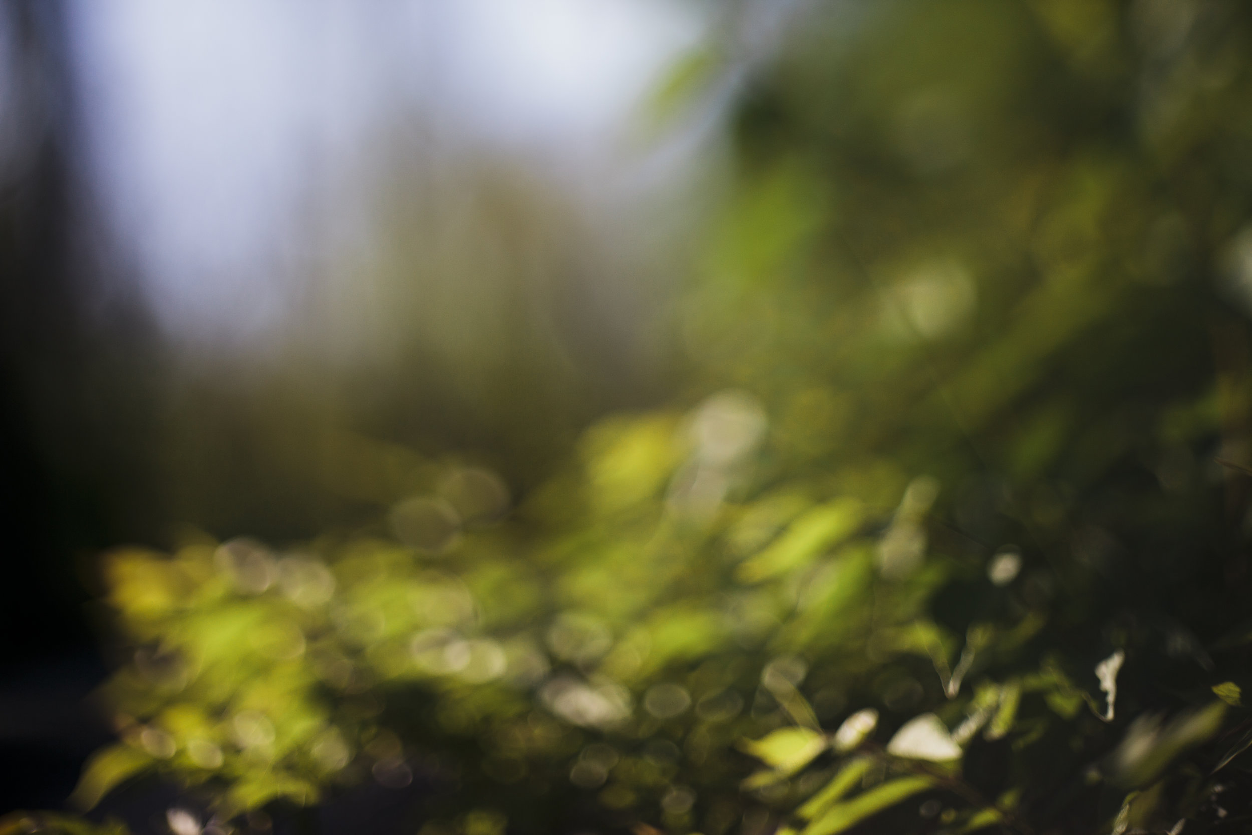 4F615C12-FCDC-4DDE-9C8A-4DAF2F5E5427.jpeg