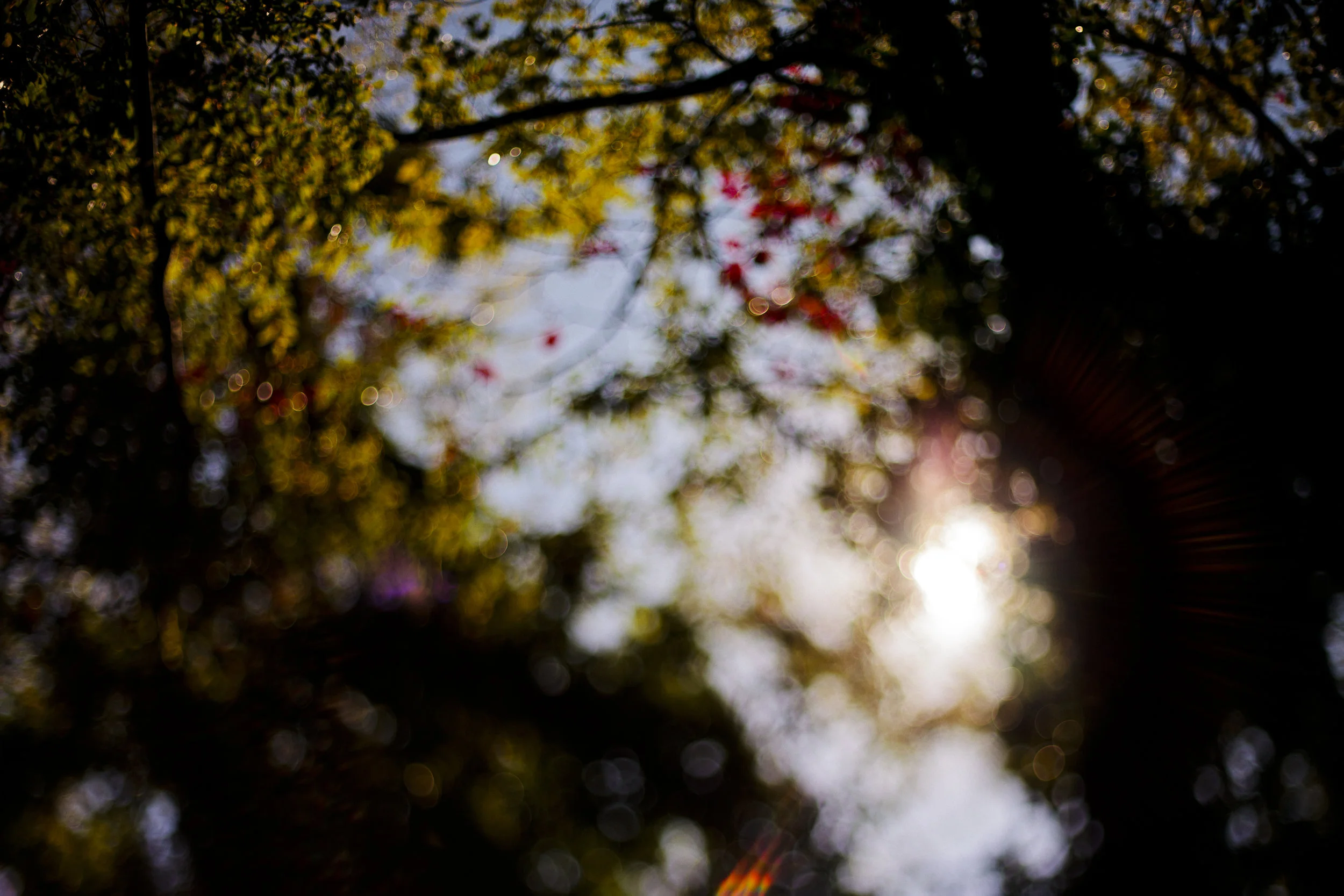 9E9258AF-C0E7-4902-BDBA-4D0C1E81D431.jpeg