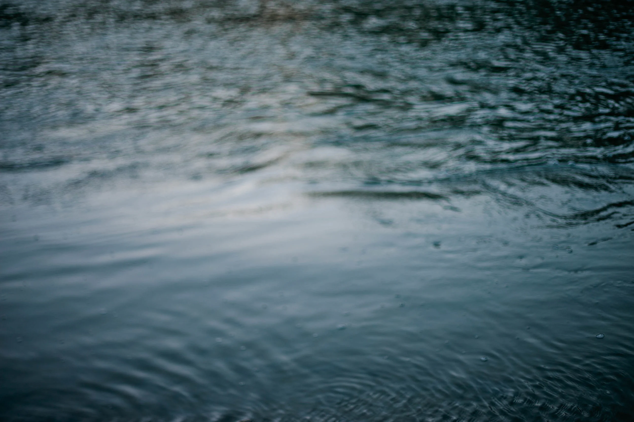B27CA3B1-2145-44CA-A276-A8B89CB8A2BD.jpeg