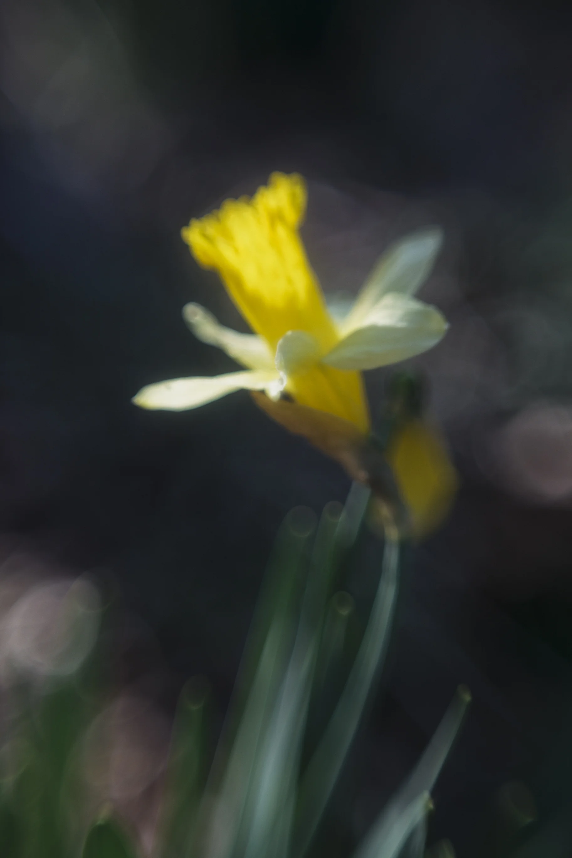 F1D7A4CC-844D-4326-8B59-B27AA62D5BF6.jpeg